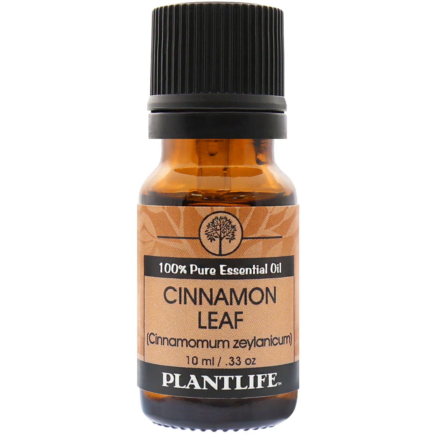 Cinnamon Leaf 100% Pure Essential Oil - 10 ml