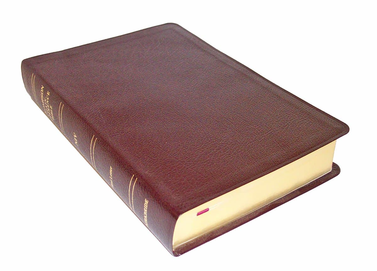 Thompson Chain Reference Bible (Style 809burgundy) - Regular Size NIV Leather Bound – January 1, 1984