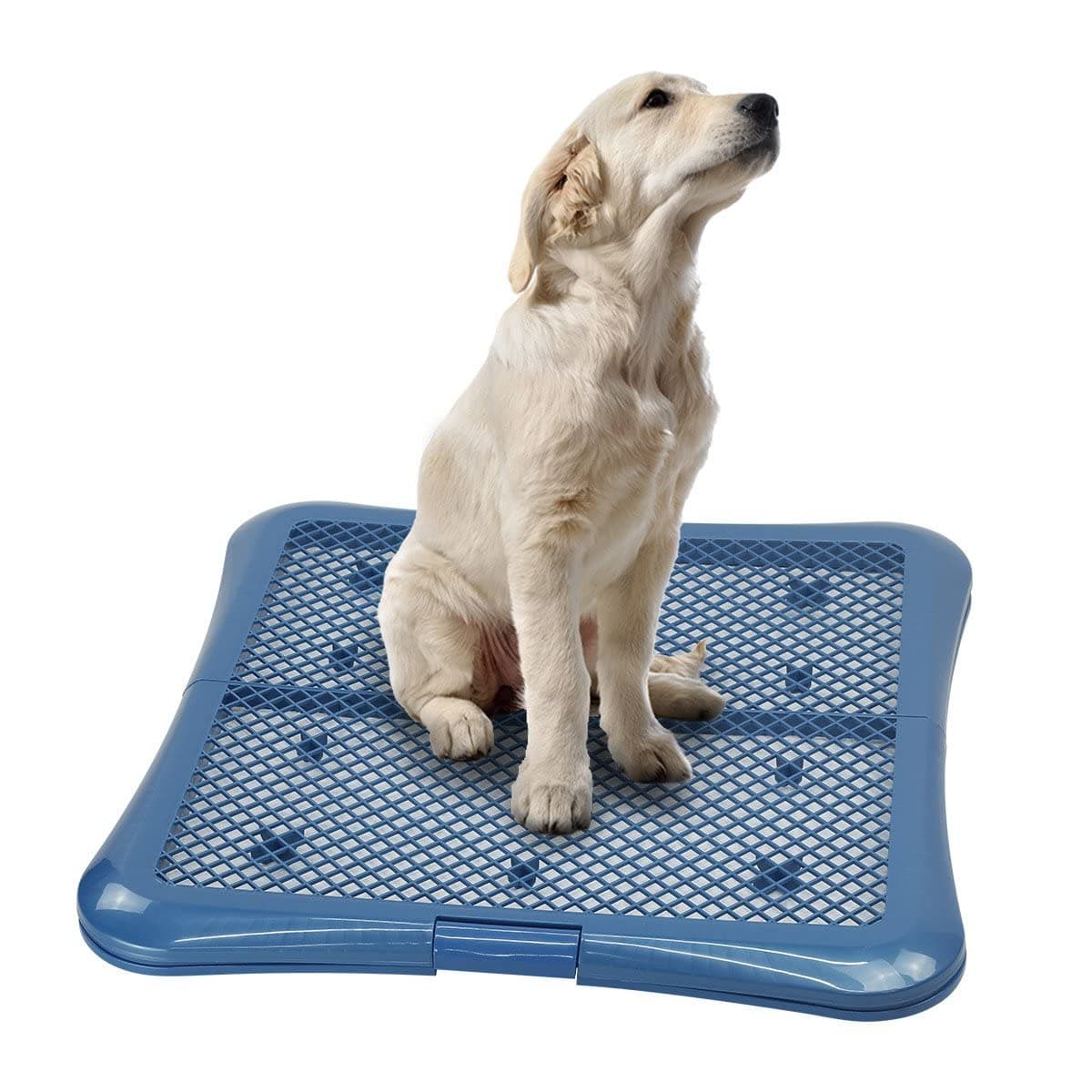 Training Pad Holder Floor Protection Dog Pad Holder Mesh Training Tray (L-24"x24")…