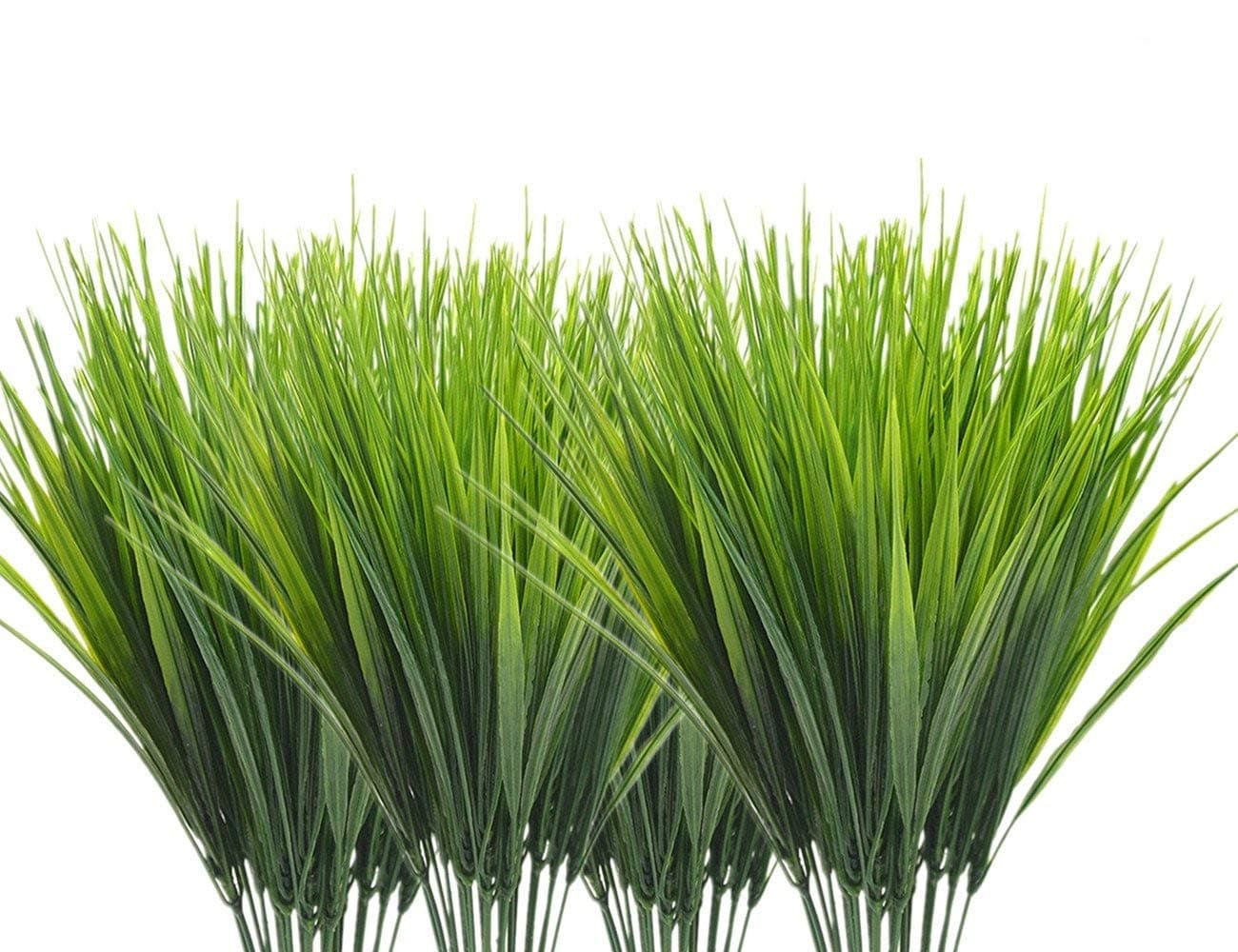 Wheat Grass