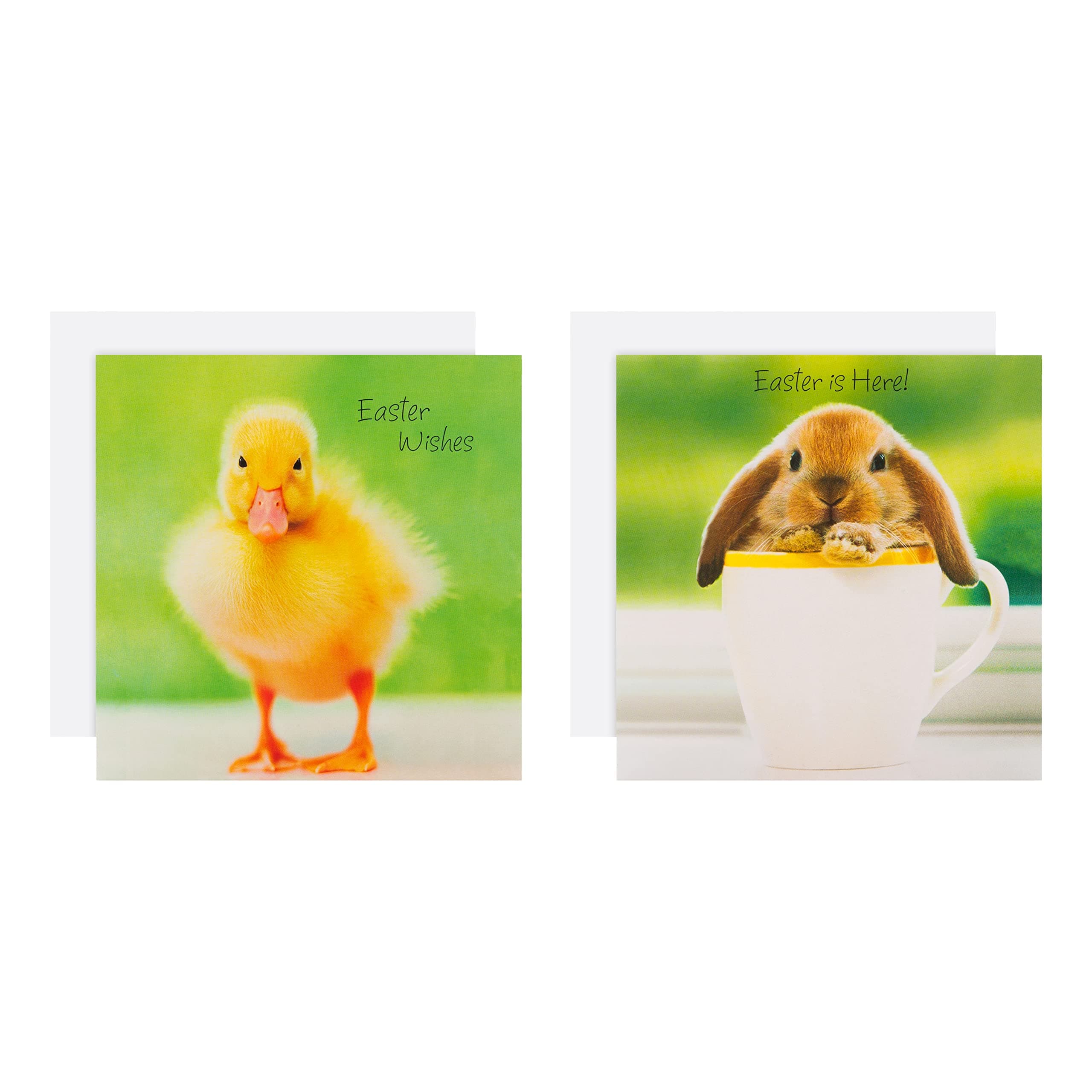 Easter Card Multipack, Pack of 10 Easter Cards, Baby Chicks & Rabbit Design, Cute Easter Cards, Green, Yellow, White