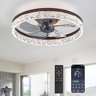 LEDIARY - 20 inch modern ceiling fans with lights and remote control, low profile adjustable ceiling fan, recessed ceiling fan, continuous change