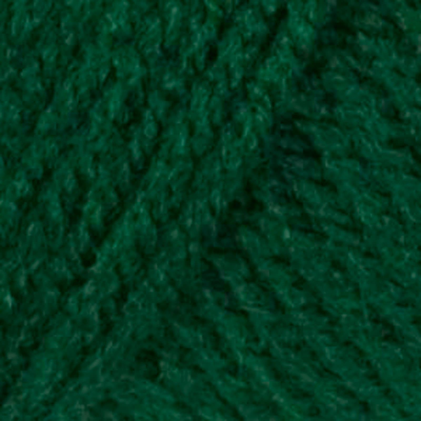 Red Heart Yarn Forest Green Classic 689