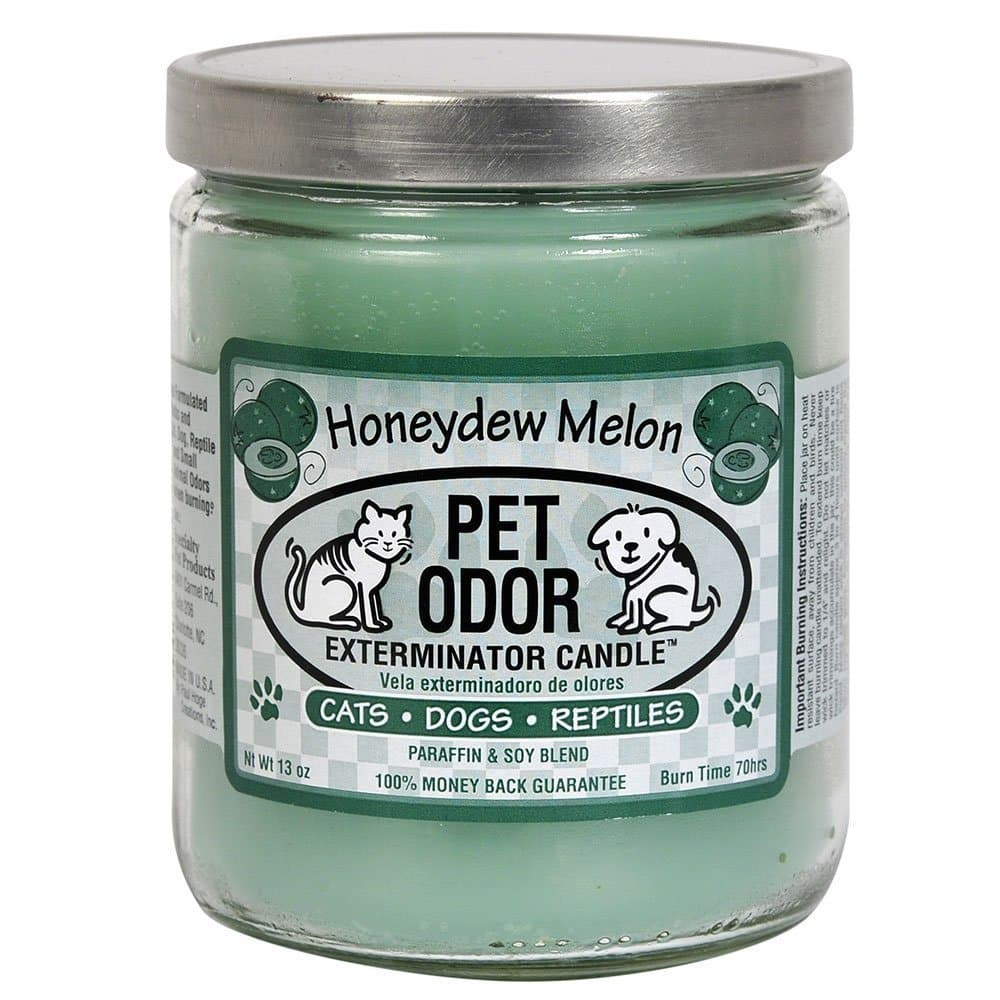 Pet Odor Exterminator Candle Honeydew Melon