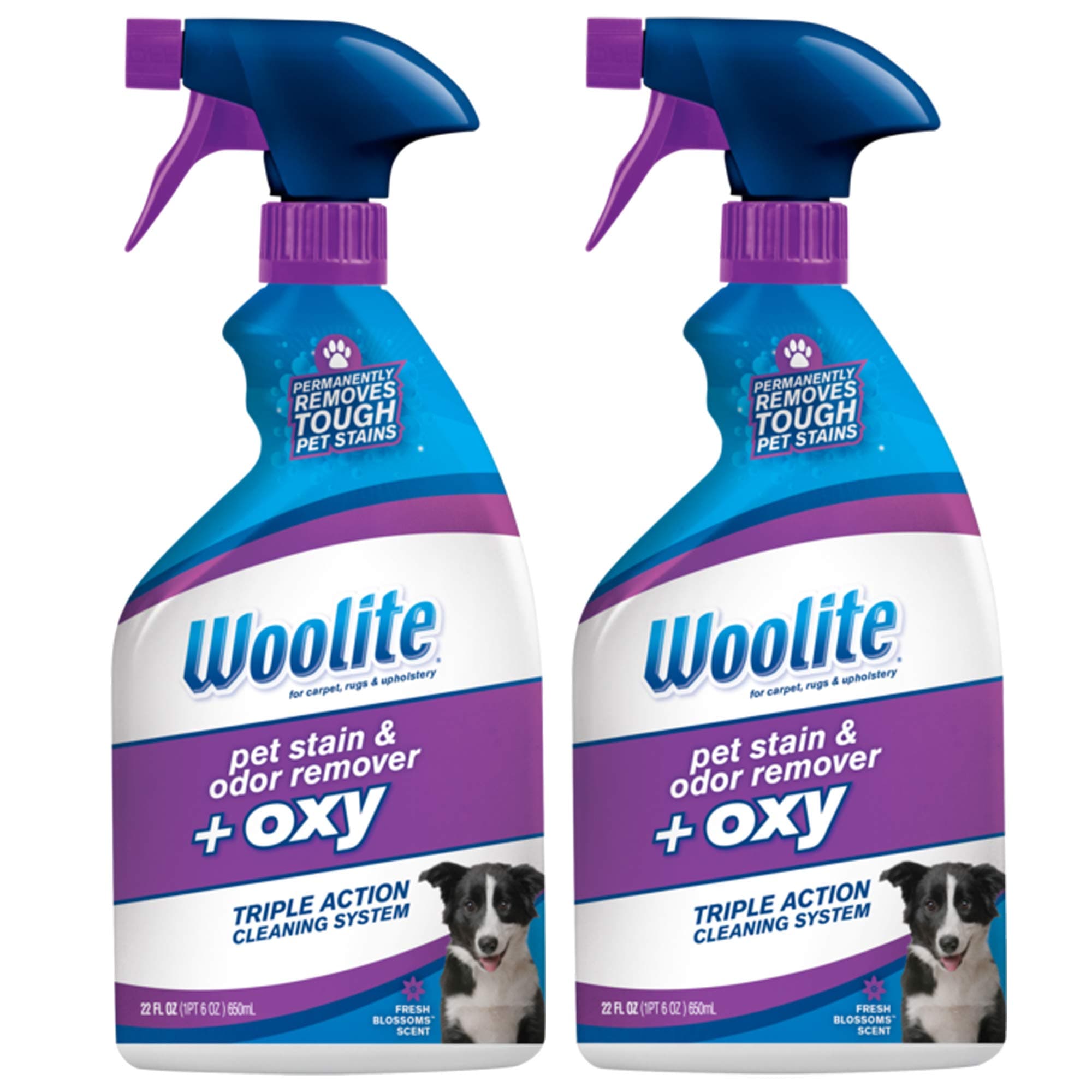 Woolite Pet Stain and Odor Plus Oxy, 22oz (Pack of 2), 2834