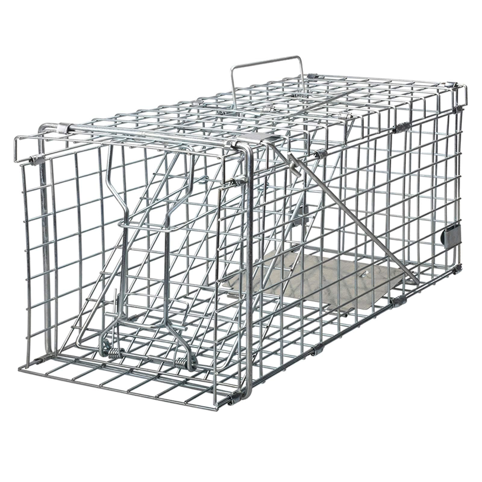 Squirrel Trap Foldable Heavy Duty Humane Live Animal Cage Trap (Not for Mouse)