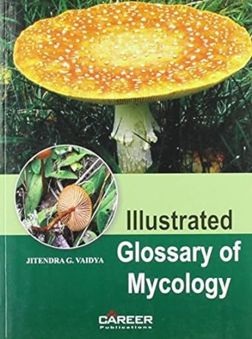 Glossary of Mycology