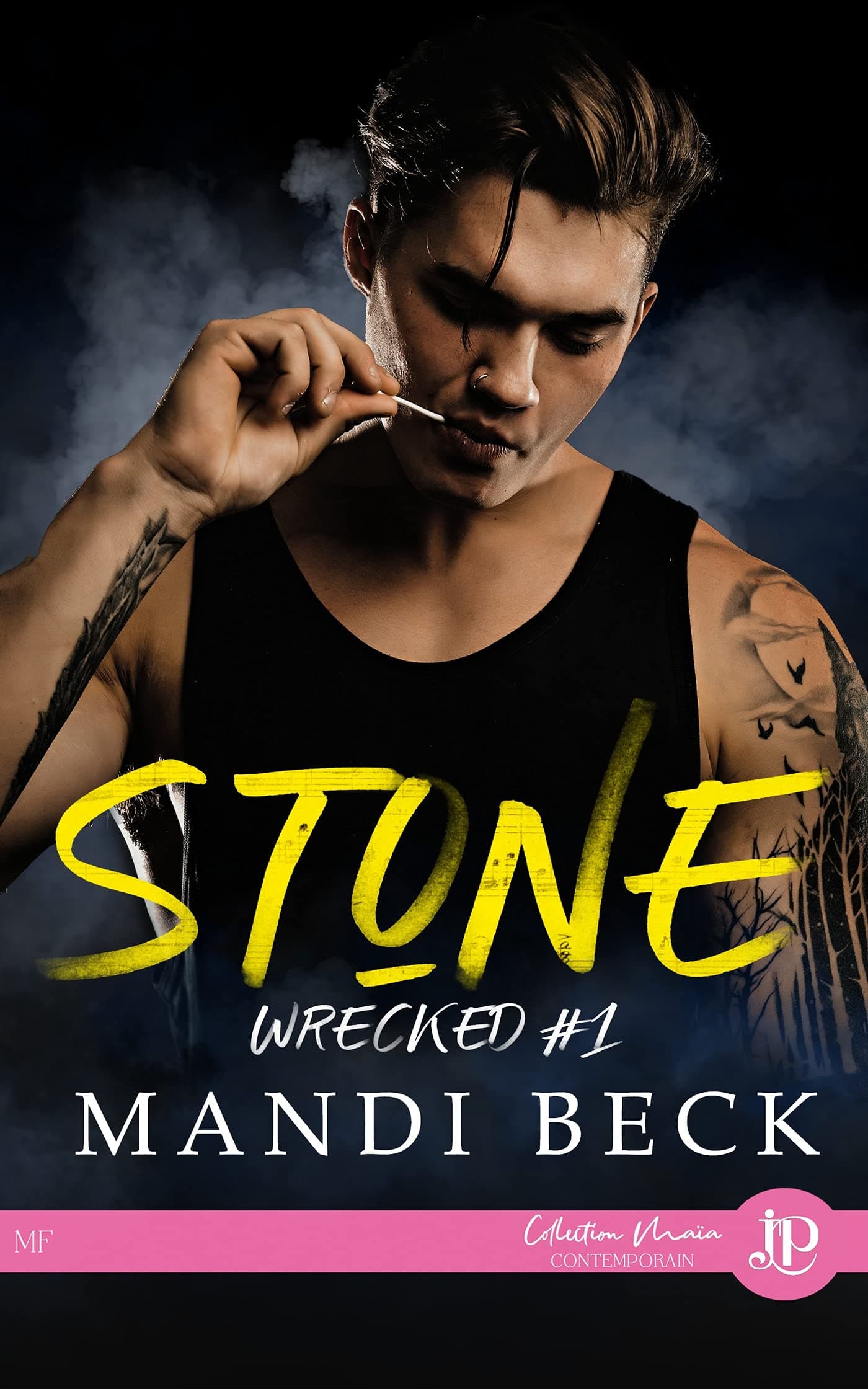Stone: Wrecked #1 (French Edition)