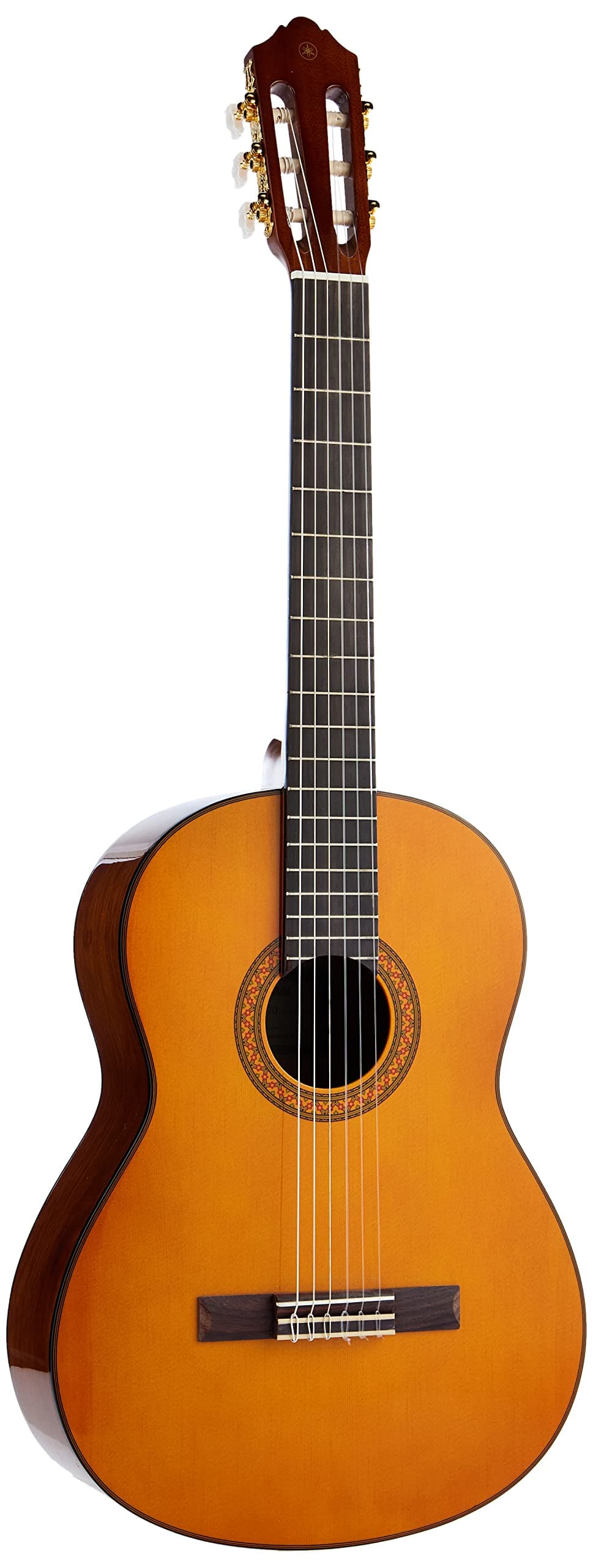 Classic Acoustic Guitar (C70) Full-Size Nylon String, Brown