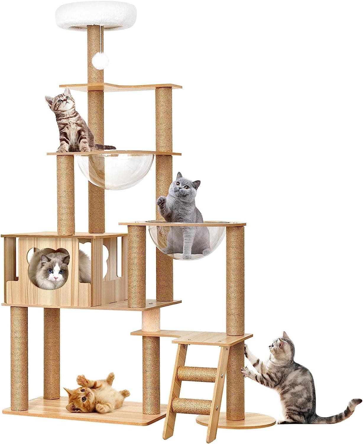 HELEE Modern Cat Tree for Indoor Cats, 65 Inches Multi-Level Wood Tower, 2 Large Capsule Condos, Fully Sisal Scratching