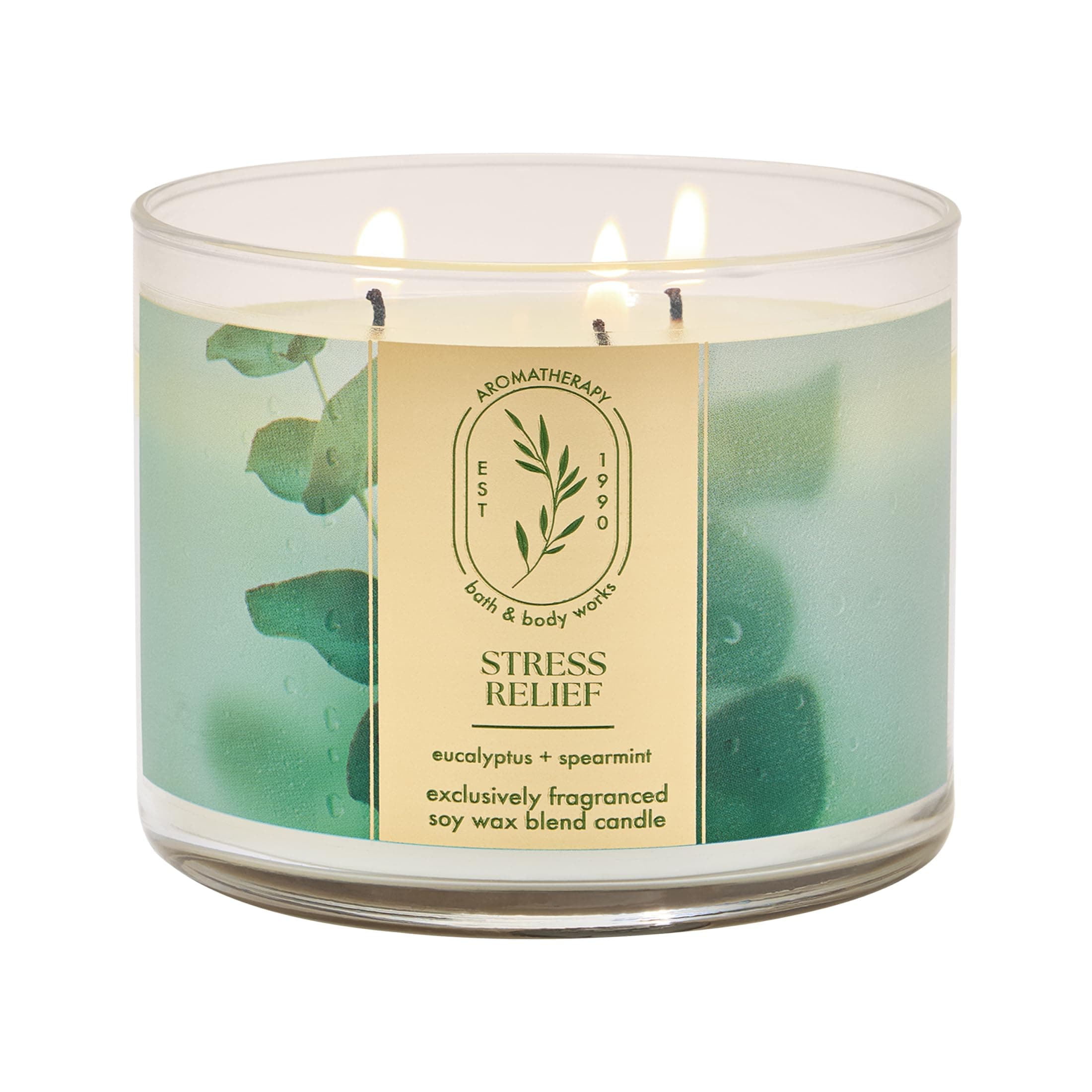 Bath & Body Works Aromatherapy 14.5 oz 3-Wick Candle Stress Relief Eucalyptus Spearmint
