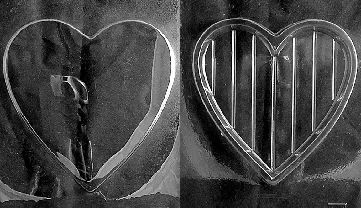 CybrTraydV302AB Chocolate Candy Mold, Includes 3D Chocolate Molds Instructions and 2-Mold Kit, 7-Inch, Pour Heart