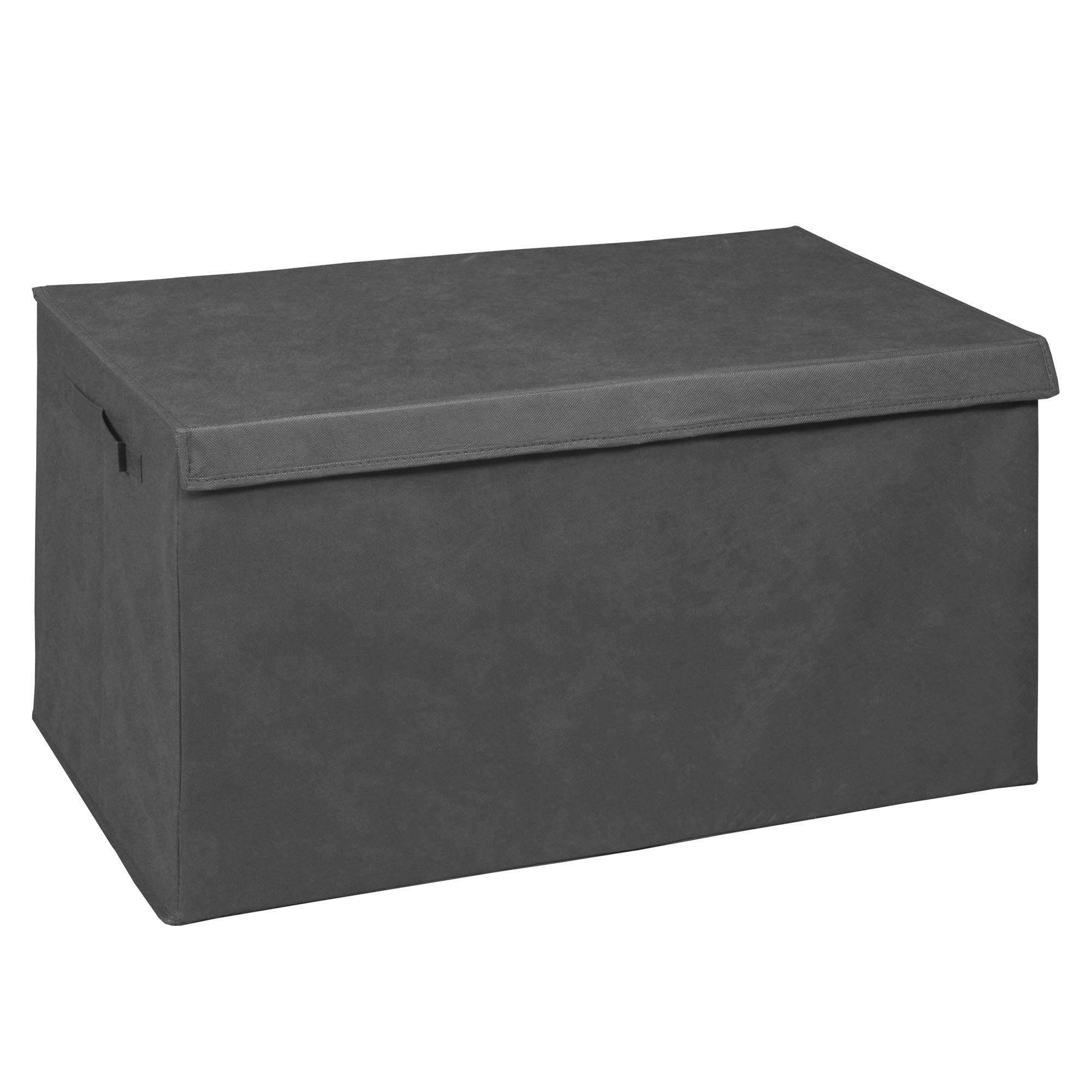 NicheCubo Foldable Fabric Storage Trunk with Label Holder- Grey