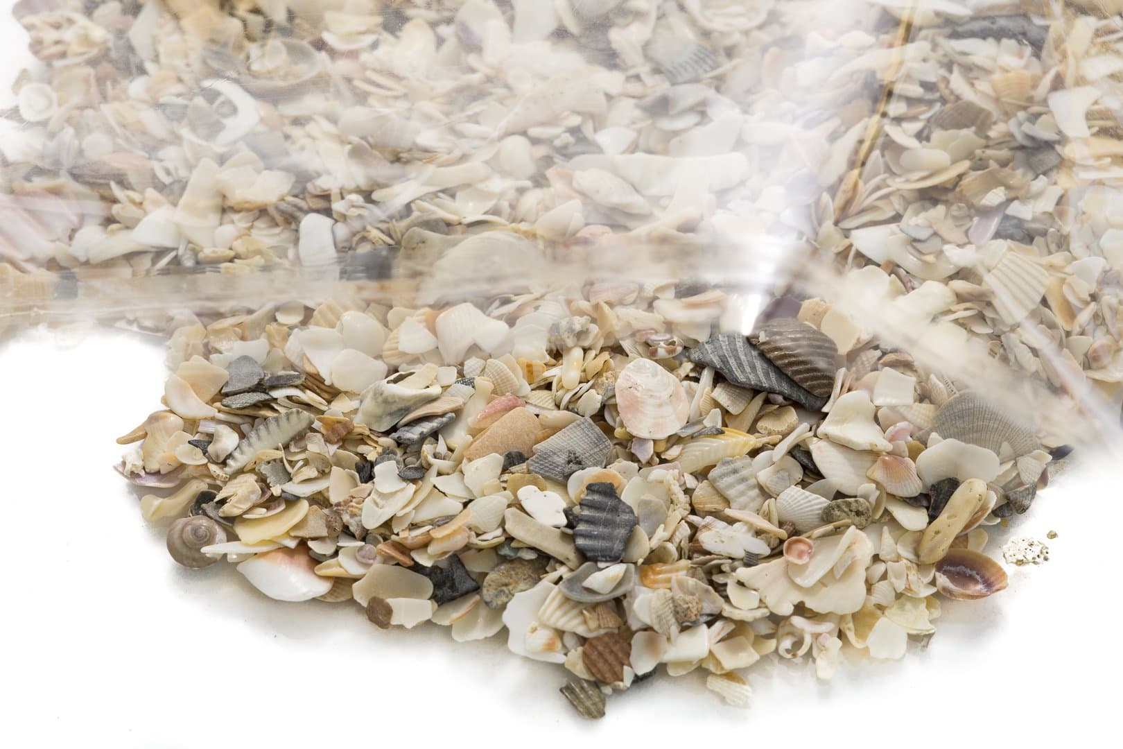 Crushed Seashells | Tiny Miniature Crushed Seashell Assorted Mix | Crushed Shells for Decoration Terrarium Aquariums and Fairy Gardens and Vase Filler | (1 Pound) | Plus Free Nautical Ebook by Joseph