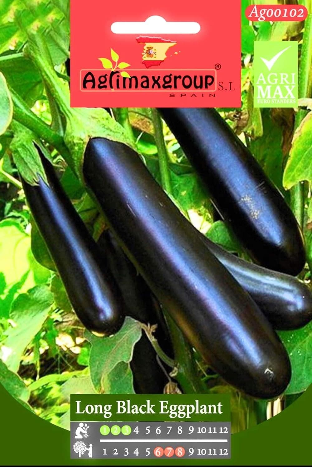 Eggplant Seeds (Long, Black)