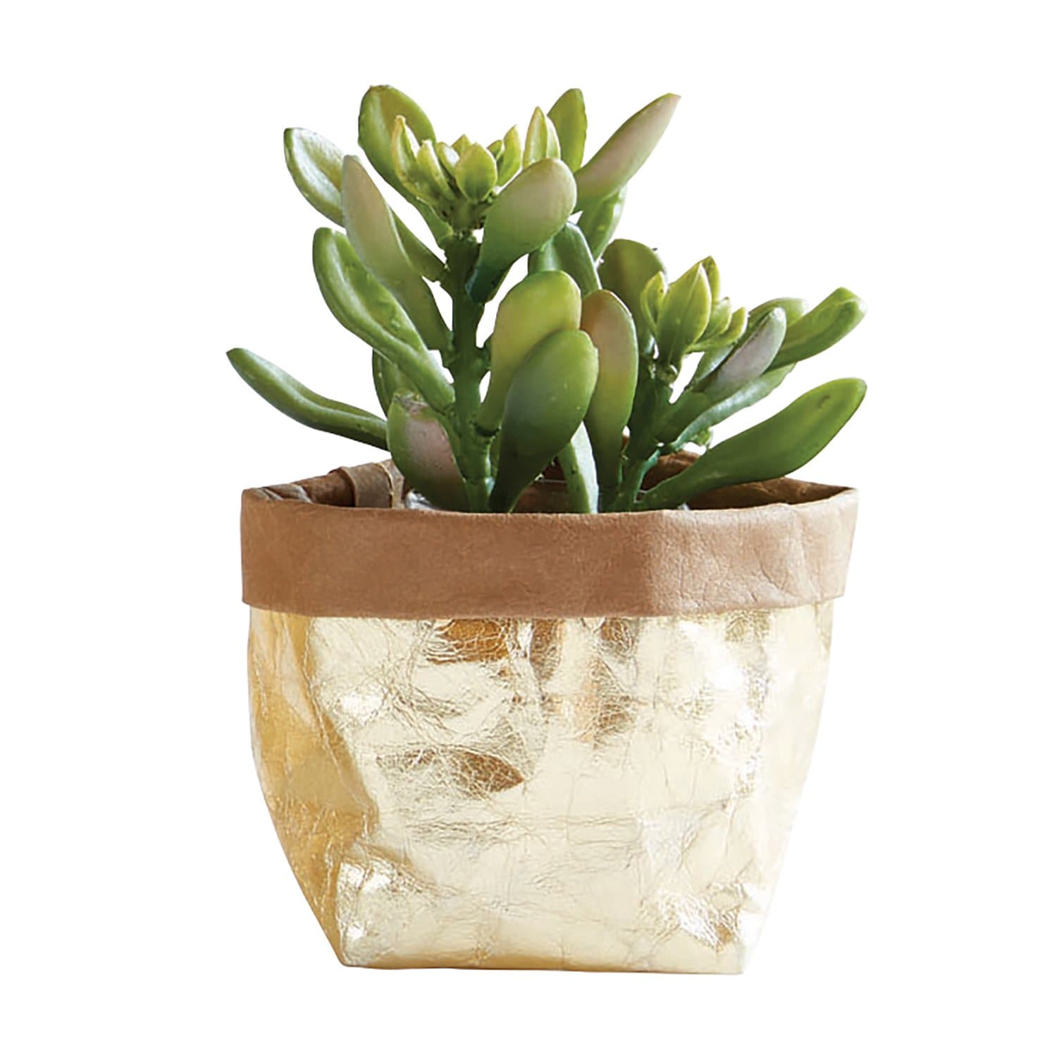 Creative Brands Table Sugar Washable Paper Holder, Small, Gold