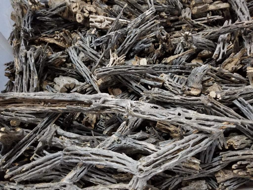 1/4, 1/2, 1, 5 or 10 Pound - Raw Natural Scrap Cholla Wood - Shrimp, Biofilm, Reptiles, Hermit Crabs, Fish, Pet Chews, Hamster, Chinchilla, Aquarium, Driftwood, Crafts, Bulk (1/4 Pound)