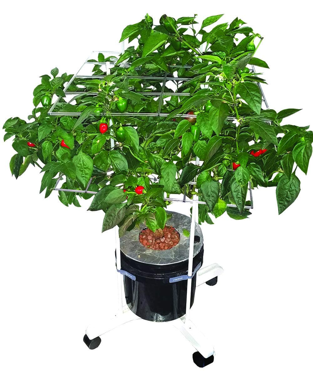 P Scrog Pro Portable 2 Screen Kit