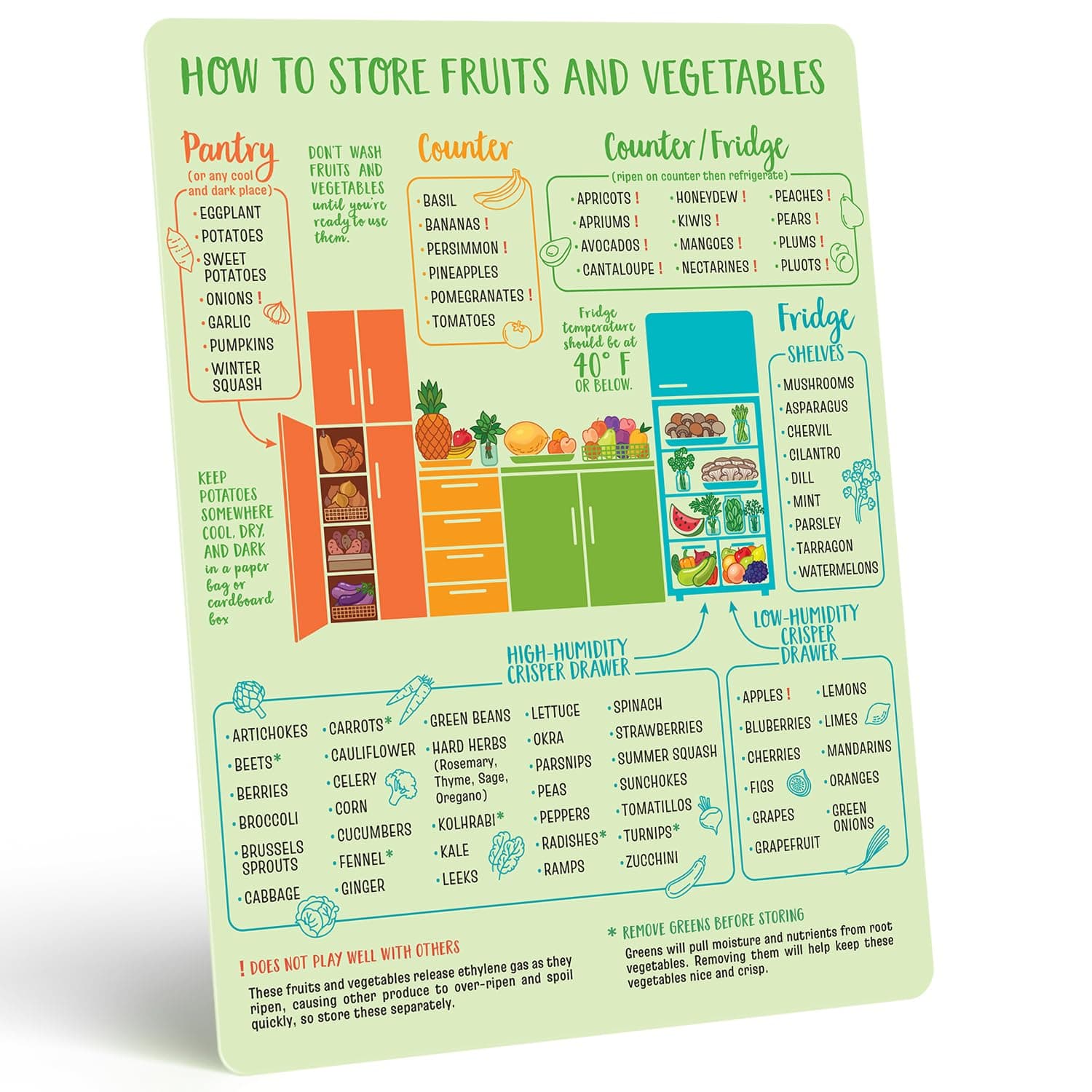 Produce Storage Guide Magnet - Fruit & Vegetable Storage Magnetic Chart - The Ultimate Produce Organizer Cheat Sheet - Keep Foods Fresher Longer