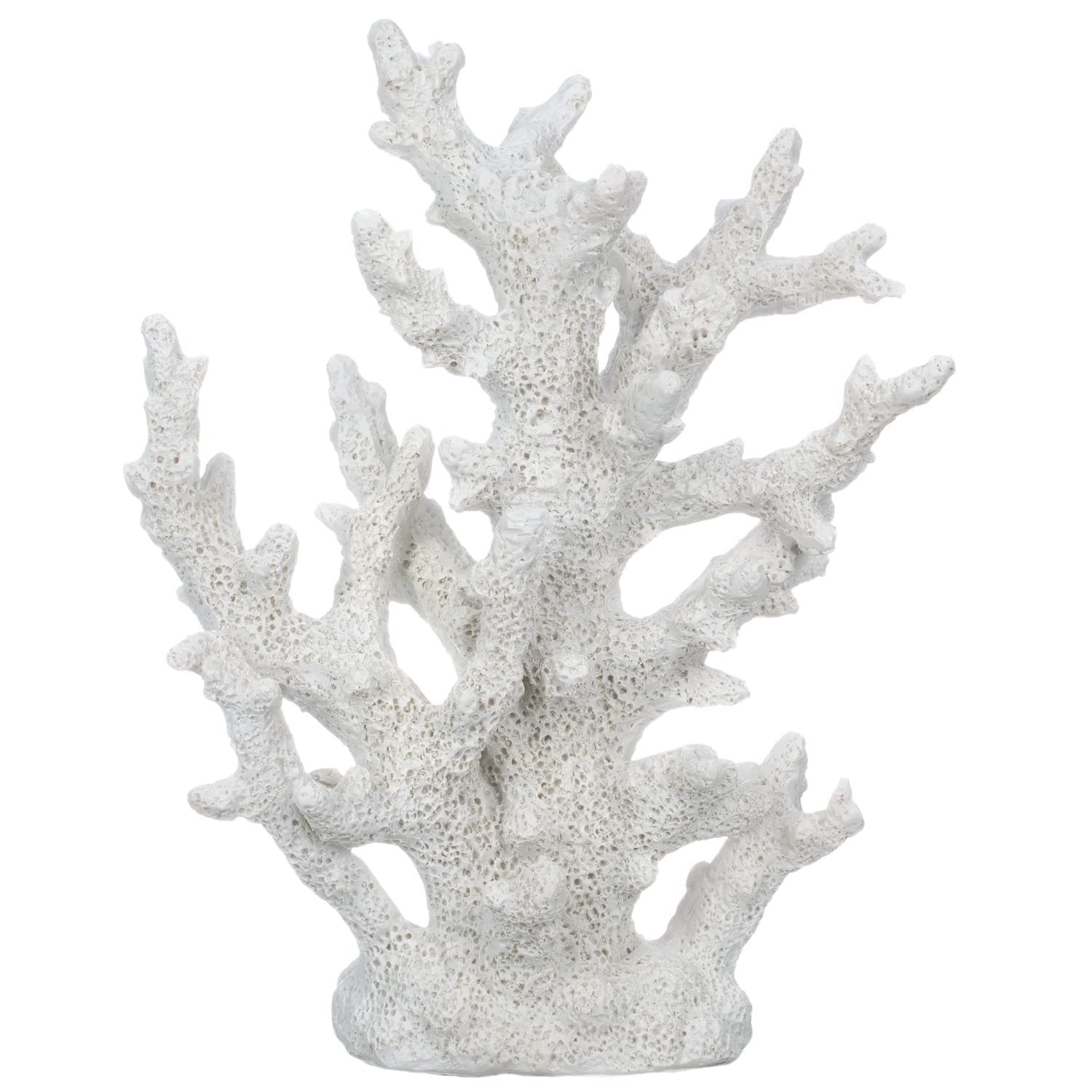 Tall Stony Coral