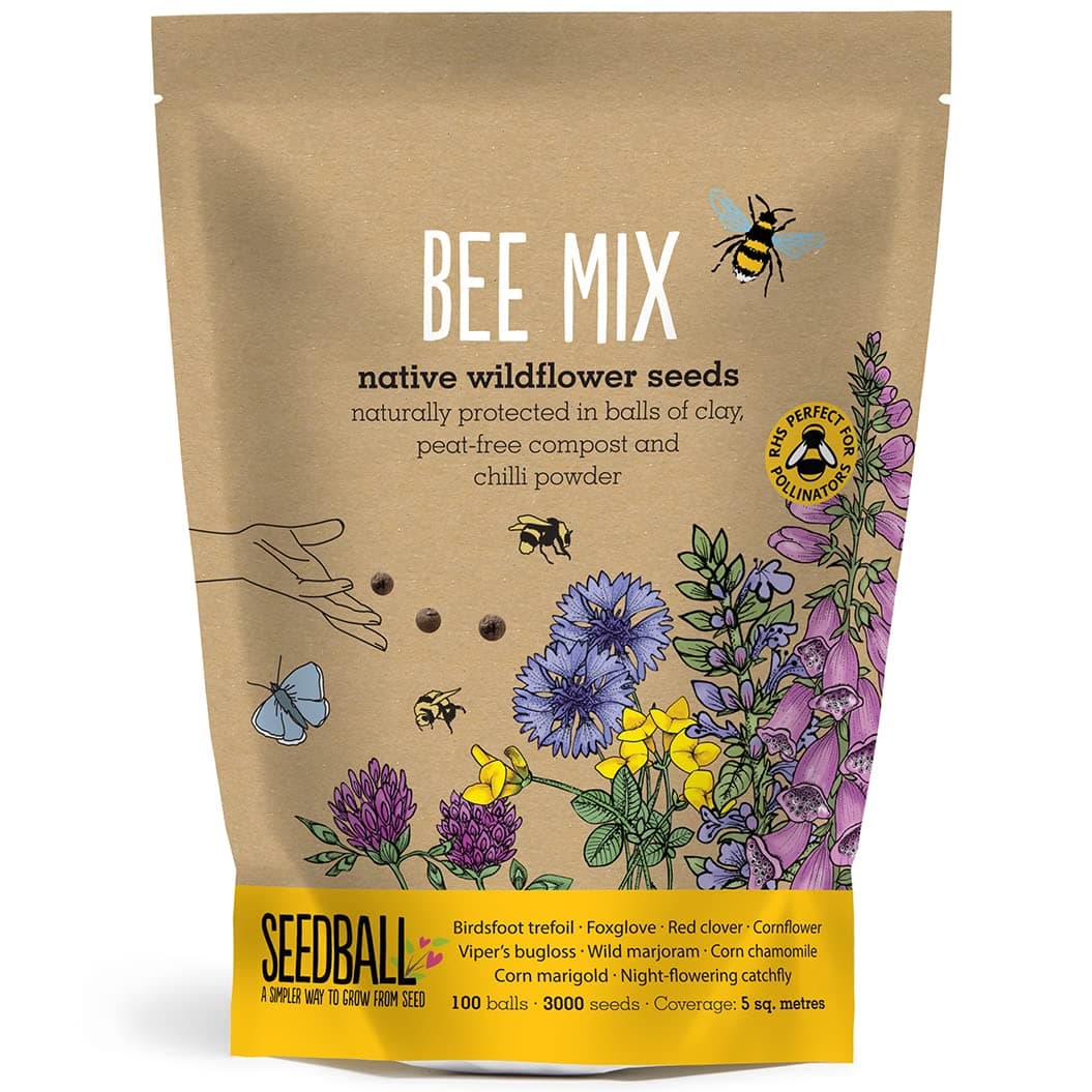 Bee Mix Seed Bombs - 100 Seed Balls Per Pack | Eco Friendly British Wild Flower Seed Mix for Bees & Garden Wildlife - Poppy, Chamomile, Cornflower, Corn Marigold & Night-Flowering Catchfly