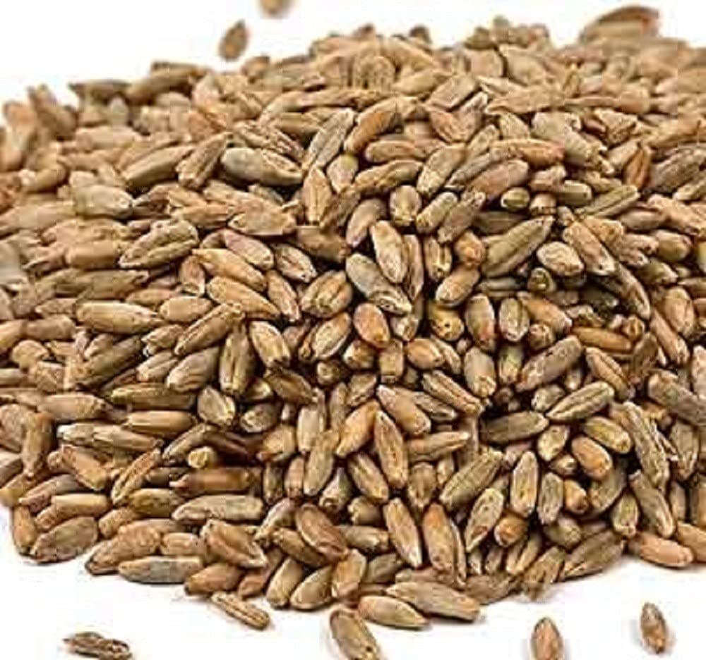 Bulk Grains Organic Rye Berries, 25-Pound