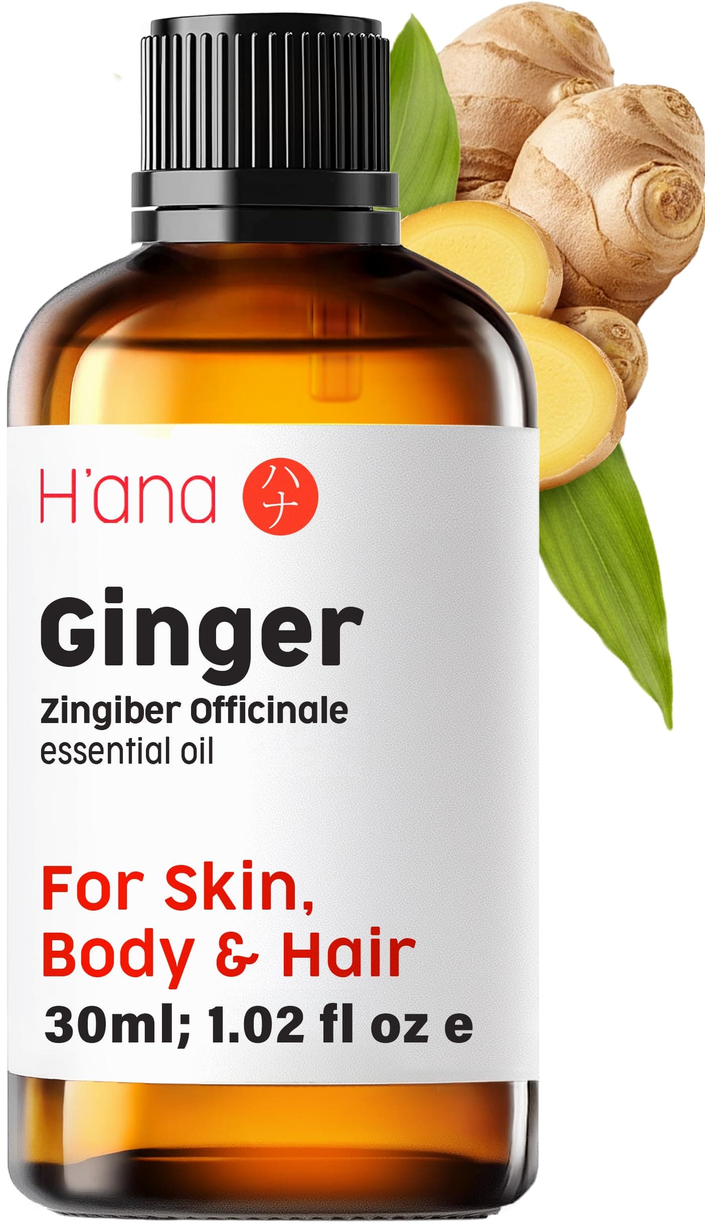 Ginger Essential Oil - 100% Pure Therapeutic Grade for Aromatherapy Diffuser - 30ml - Hana: Ginger