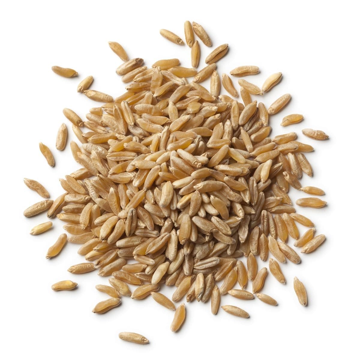 Organic Kamut Grain 1kg (BWFO)