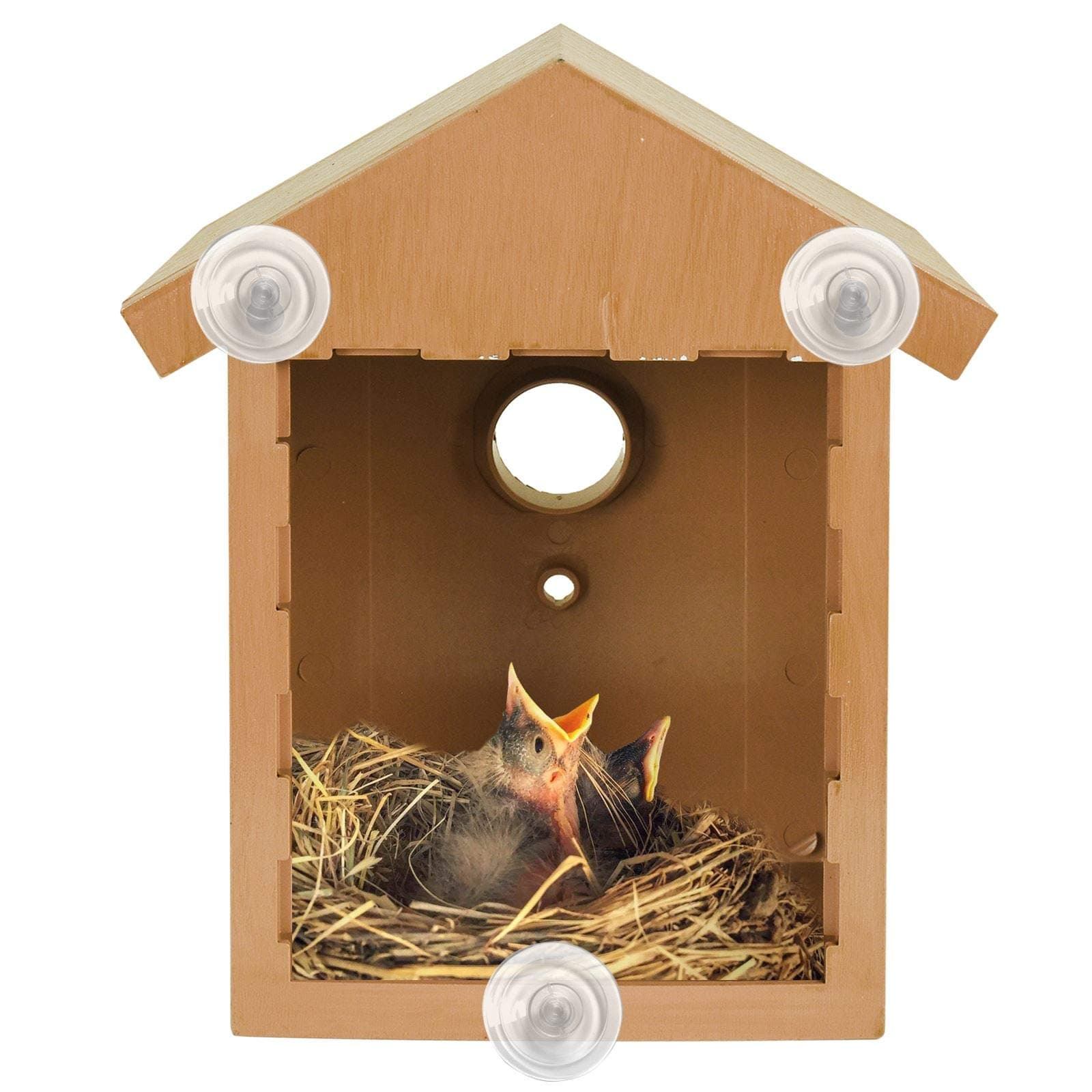 ASAB Wild Bird Watching Nesting Box Set | Birdhouse Kit with Spy Window and One Way Mirror Foil | Plastic Robin House with Wood Looking Design