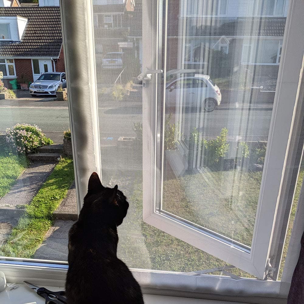 Flat Cats window screens - Single Pack - Selection of sizes (60cm x 100cm, White Mesh/White Fixings)