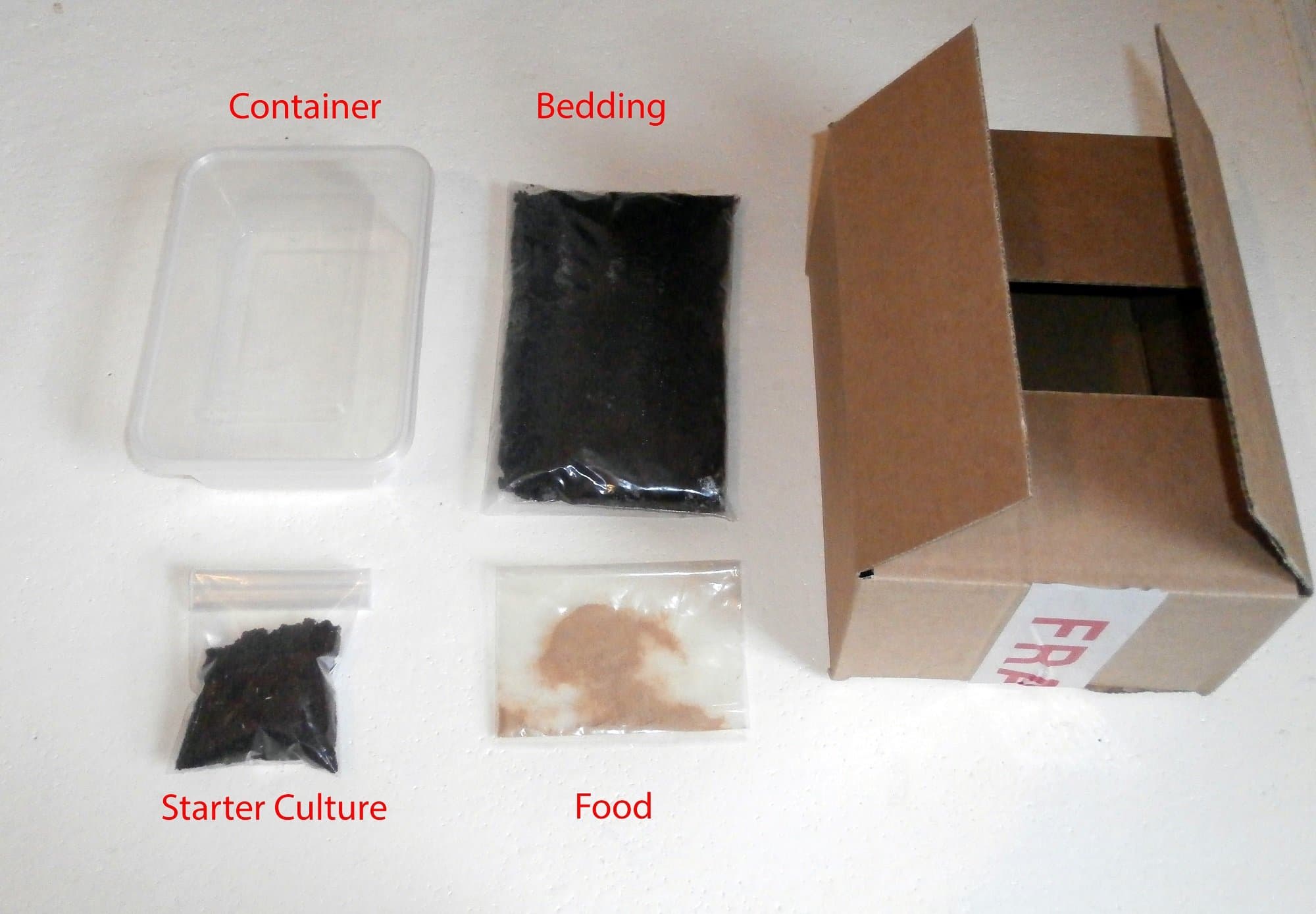 Tartan Guppy Grindal Worm Colony Kit