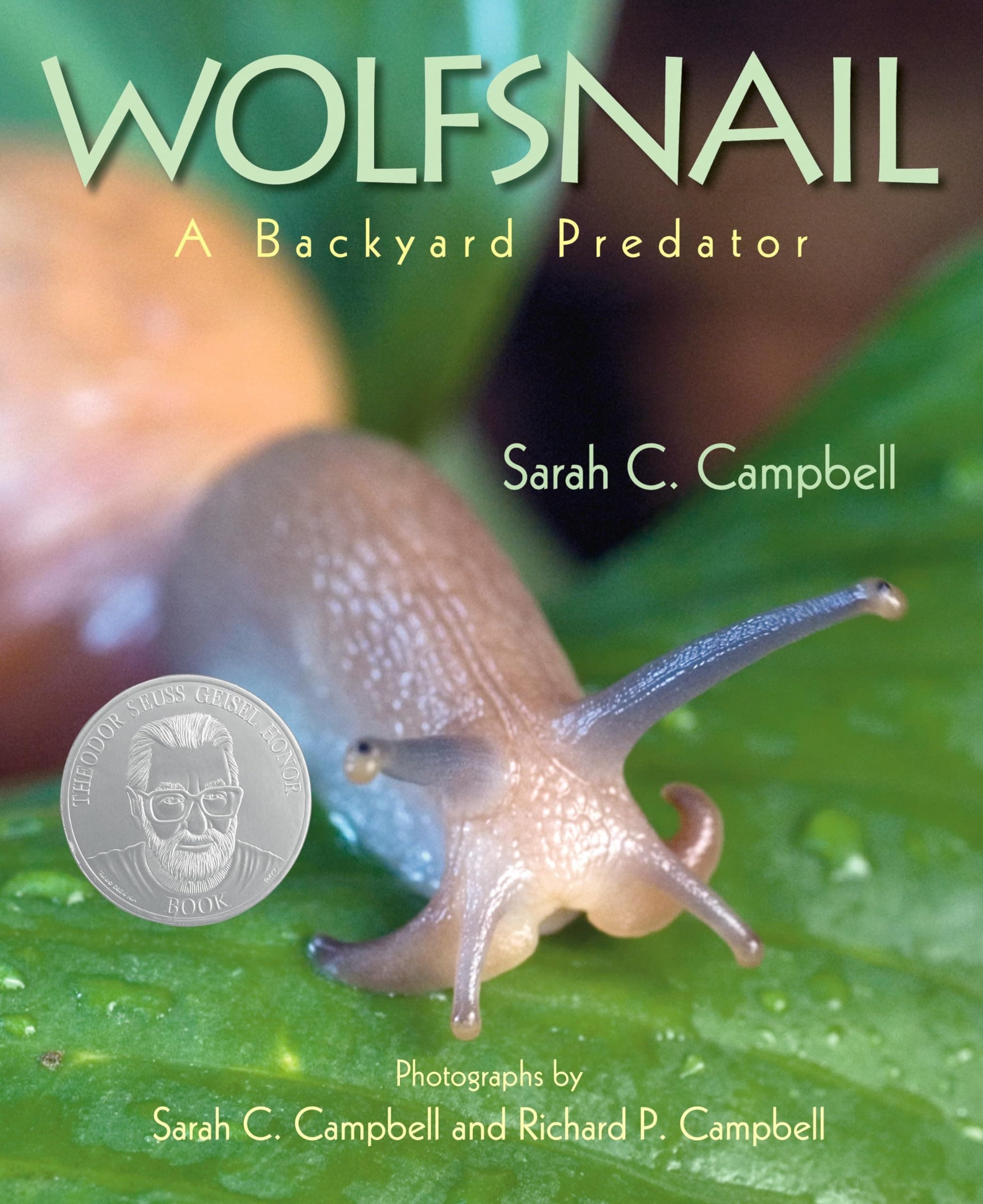 Wolfsnail: A Backyard Predator Hardcover – Illustrated, May 1, 2008
