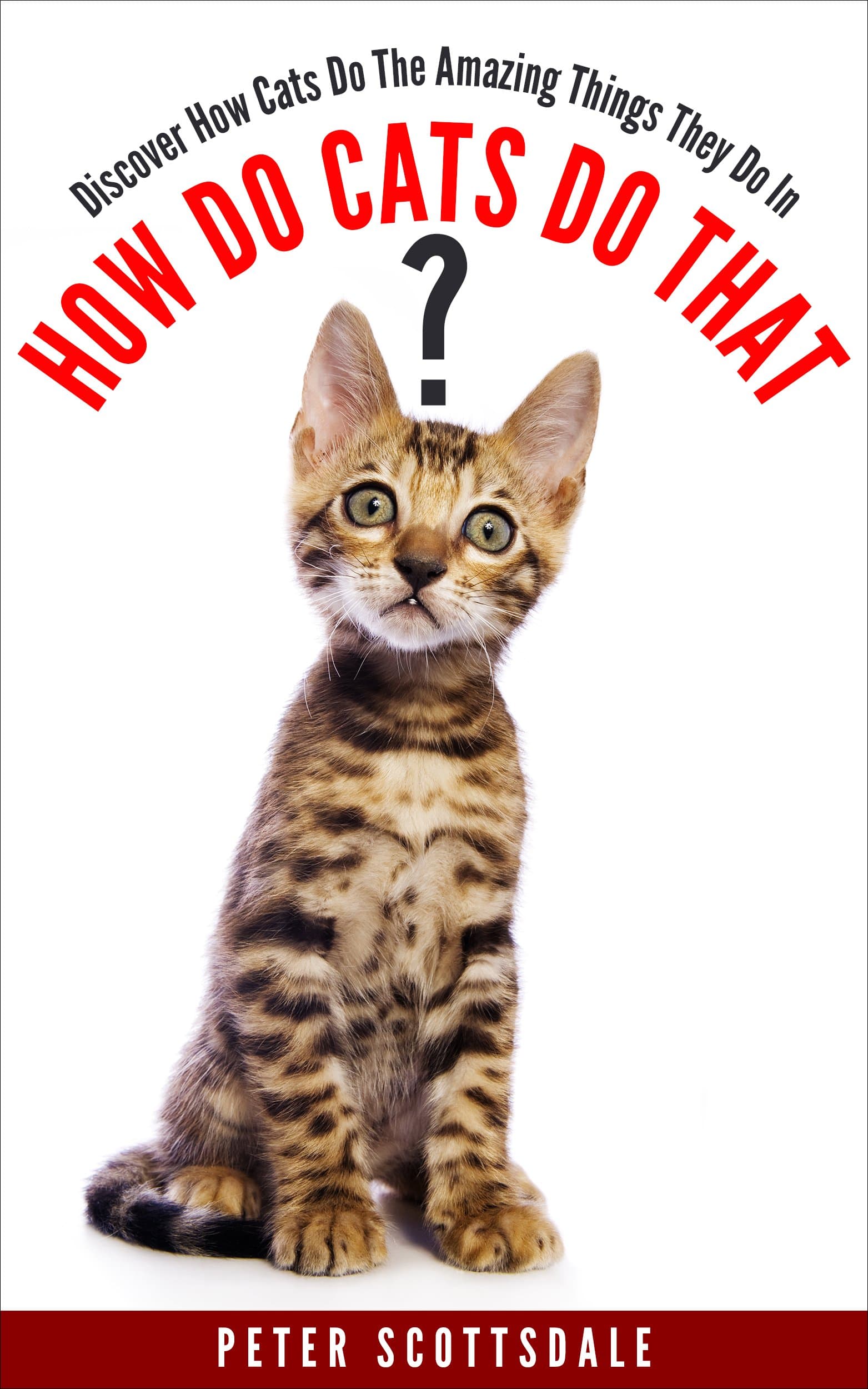 How Do Cats Do That?: Discover How Cats Do The Amazing Things They Do (How & Why Do Cats Do That?)