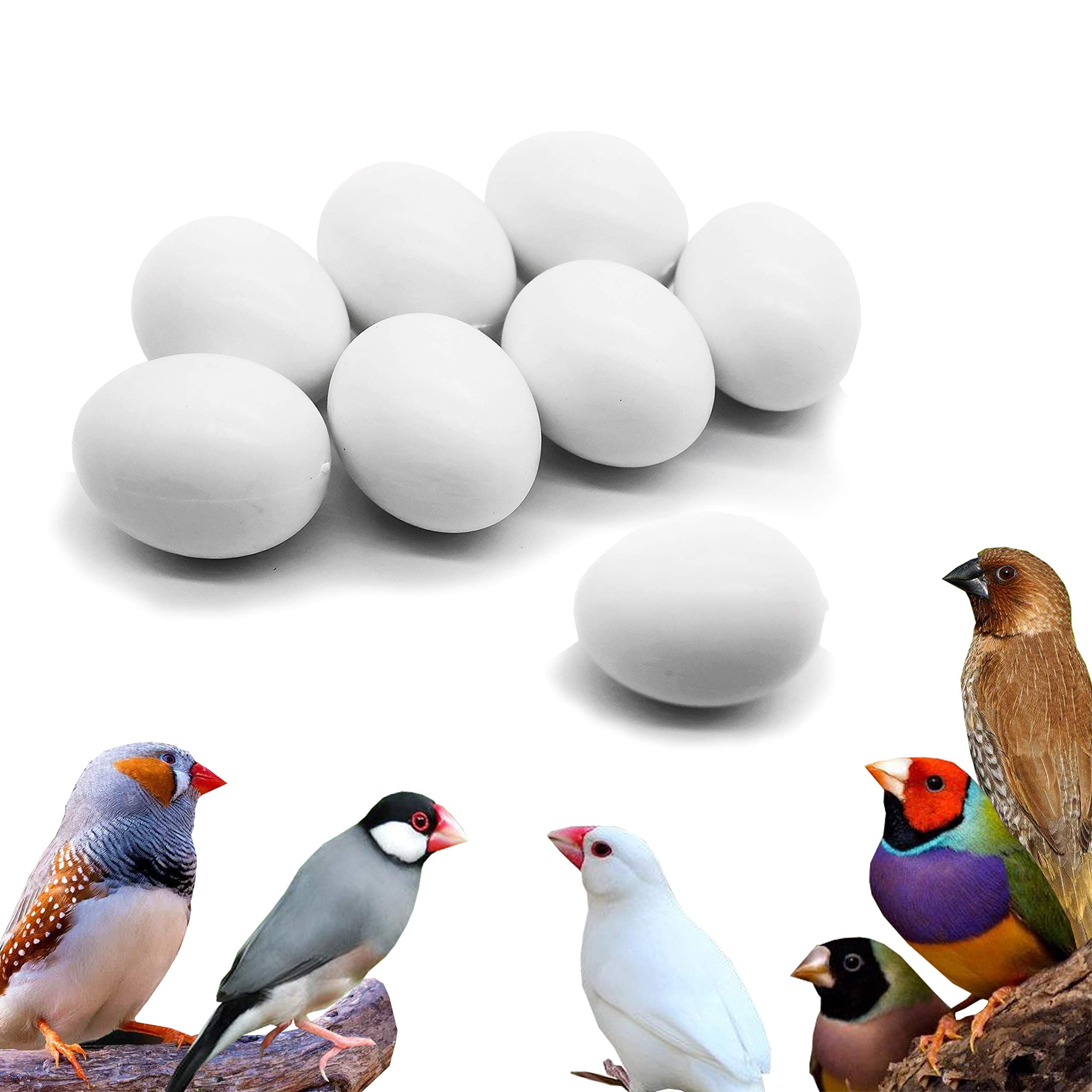 FOIBURELY 8 Pcs Solid Bird Dummy Eggs Hatching Eggs Gouldian Finch, Society Finch, Zebra Finch, Spice Finch Trick The Birds to Stop Laying Eggs, Dummy Eggs(16mm12mm)