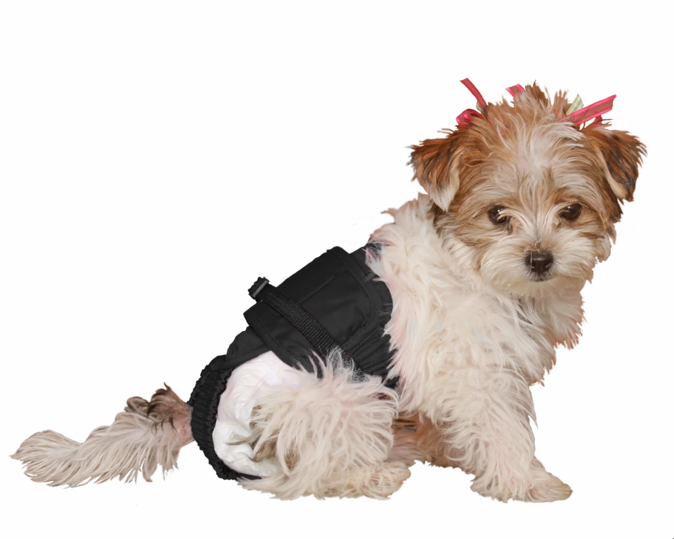 SammyDoo Pet Diaper Wrap Fits, Approximately 3-Pound to 6-Pound, 8 to 11-Inch, Girth 14 to 18-Inch, X-Small, Black