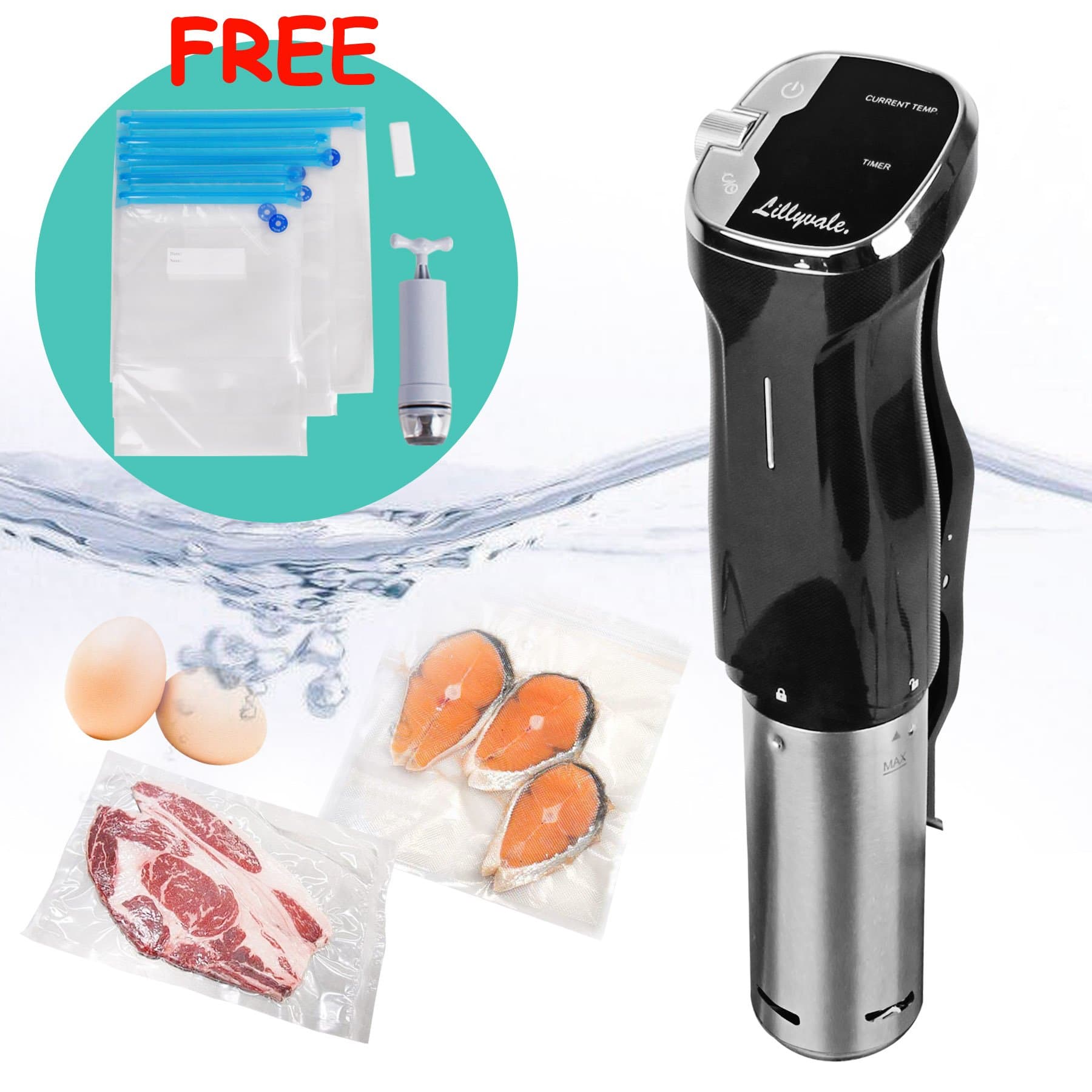 Immersion Circulator Thermal Sous Vide Machine Precision Slow Cooker Meat