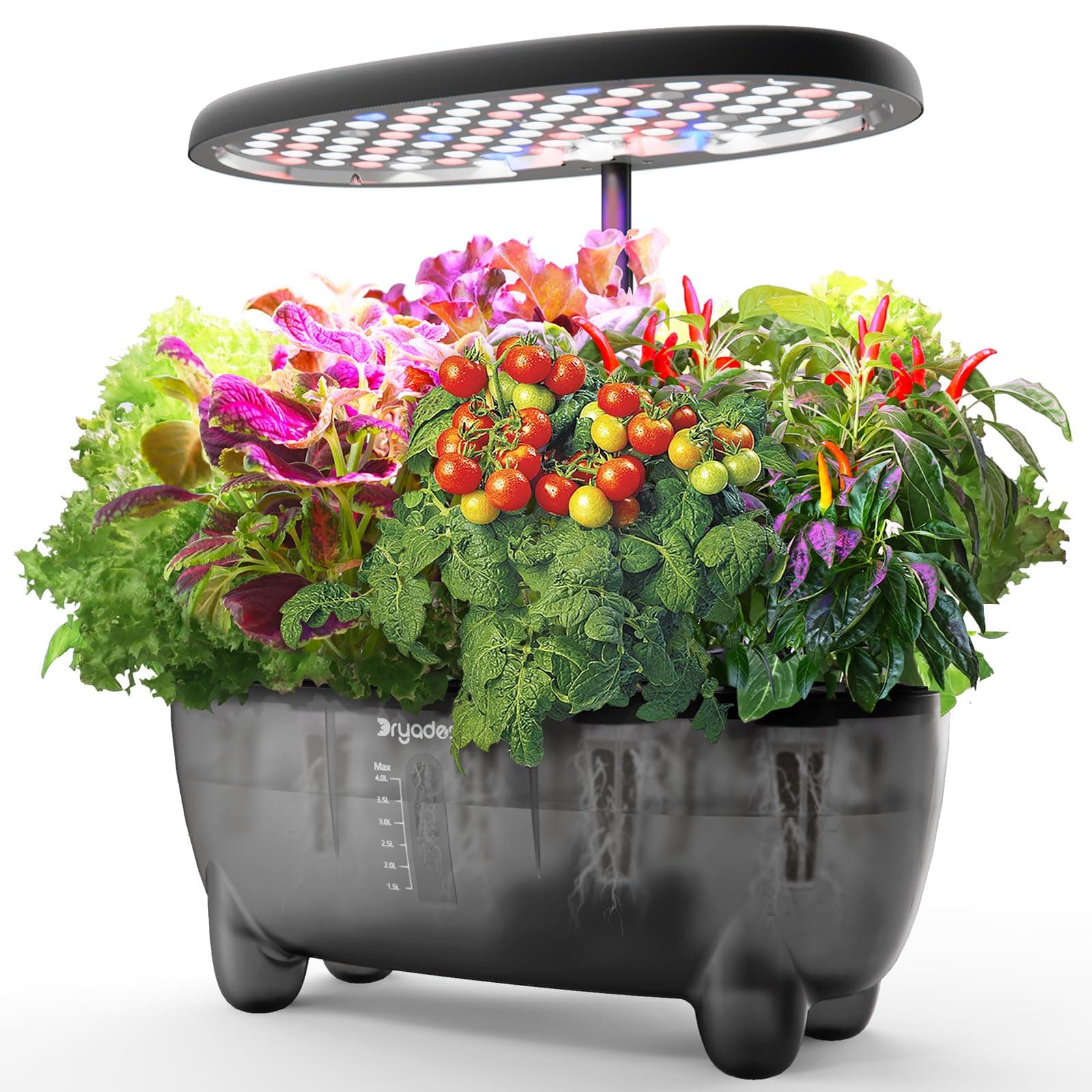 12-Pod Indoor Herb Garden Hydroponics Growing System Kit with LED Grow Light, Indoor Gardening System for Herbs, Vegetables, Lettuce on Countertop (Seeds NOT Included)