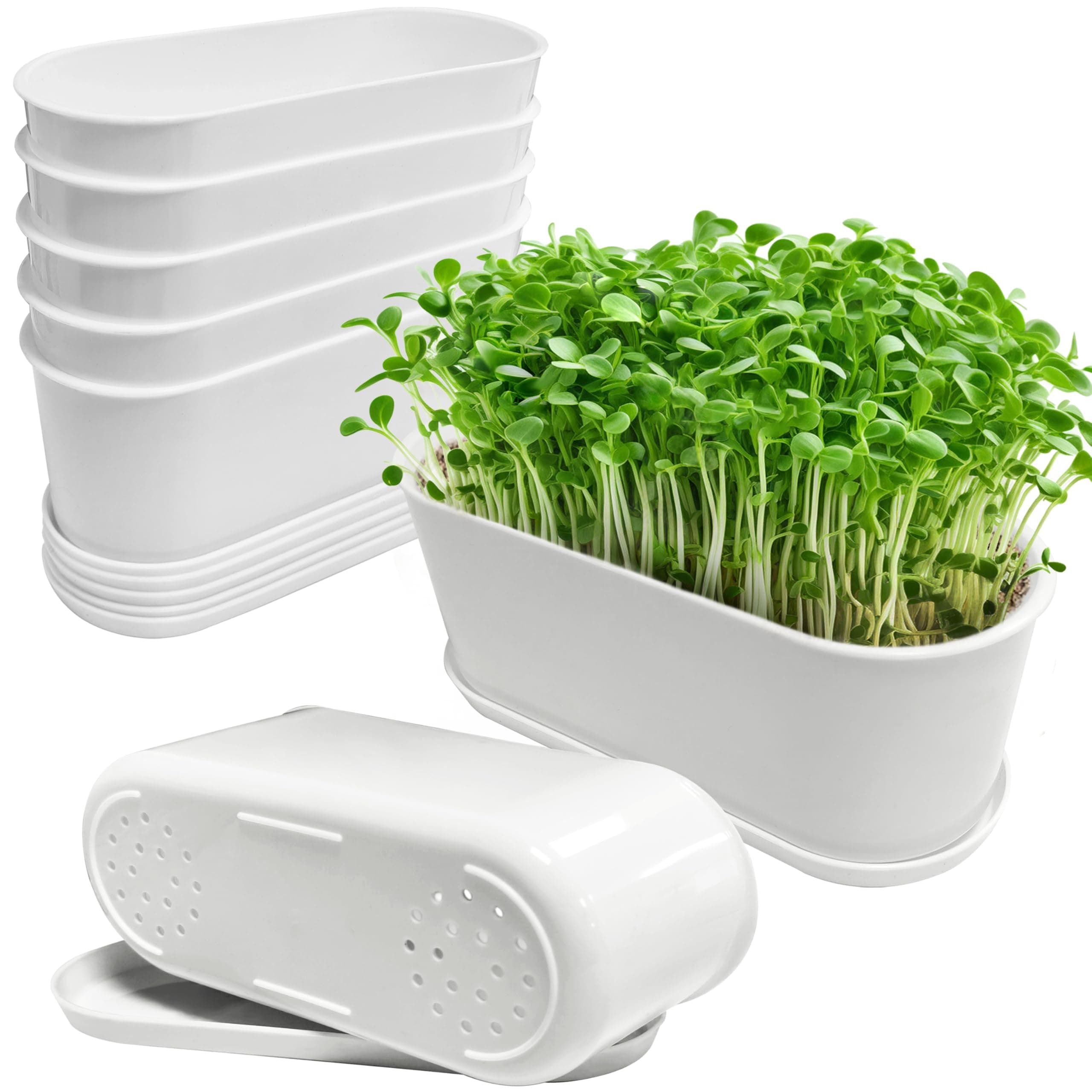 – Window Planter Box Indoor 5 Sets,Plant Window Box with Tray,Rectangle Planter Small with Drain Hole,Plastic Plant Pot for Home Garden Modern Decorative