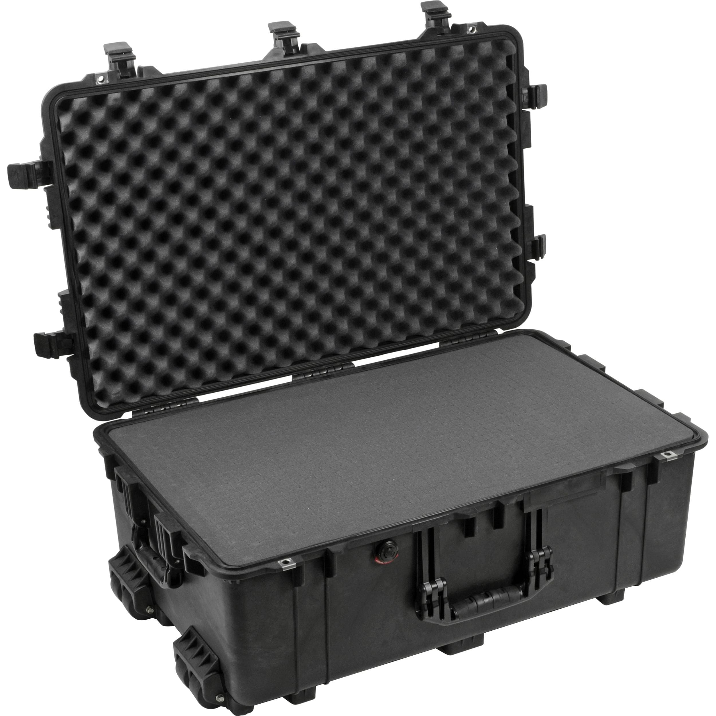 1650 Case With Foam (Black)