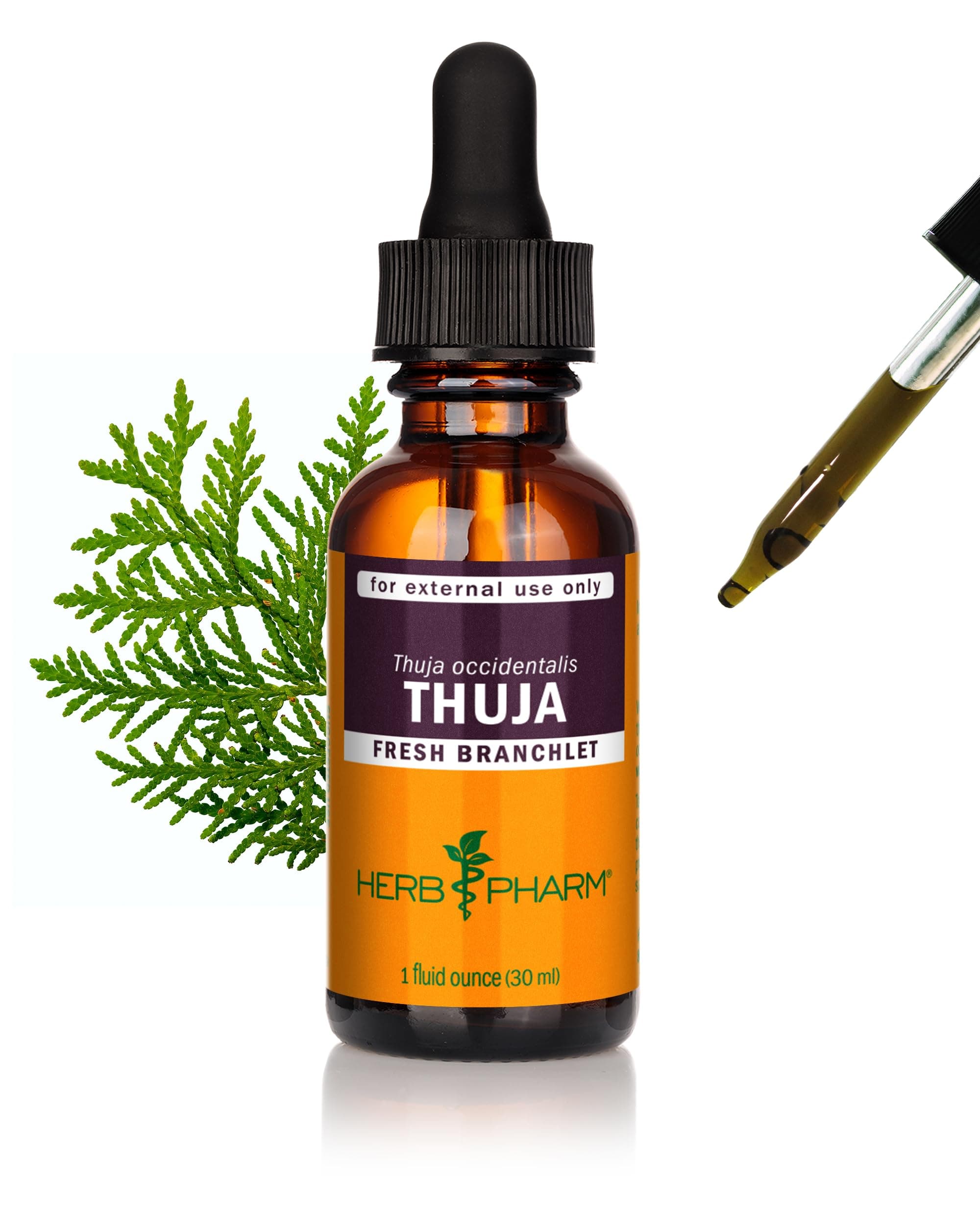 Herb Pharm Thuja Branchlet Liquid Extract - 1 Ounce (DTHUJA01)