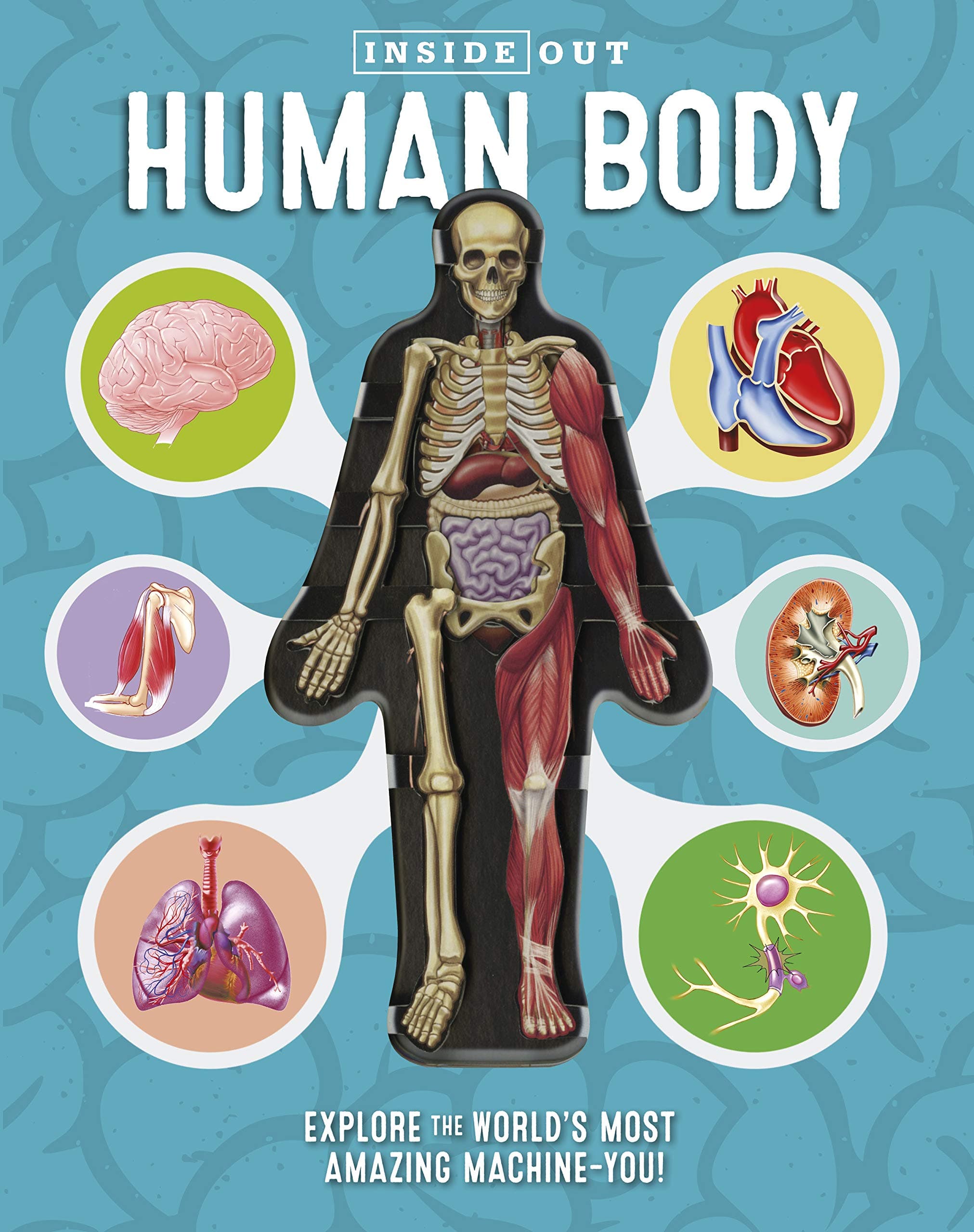 Inside Out Human Body: Explore the World's Most Amazing Machine-You! Hardcover – October 10, 2017