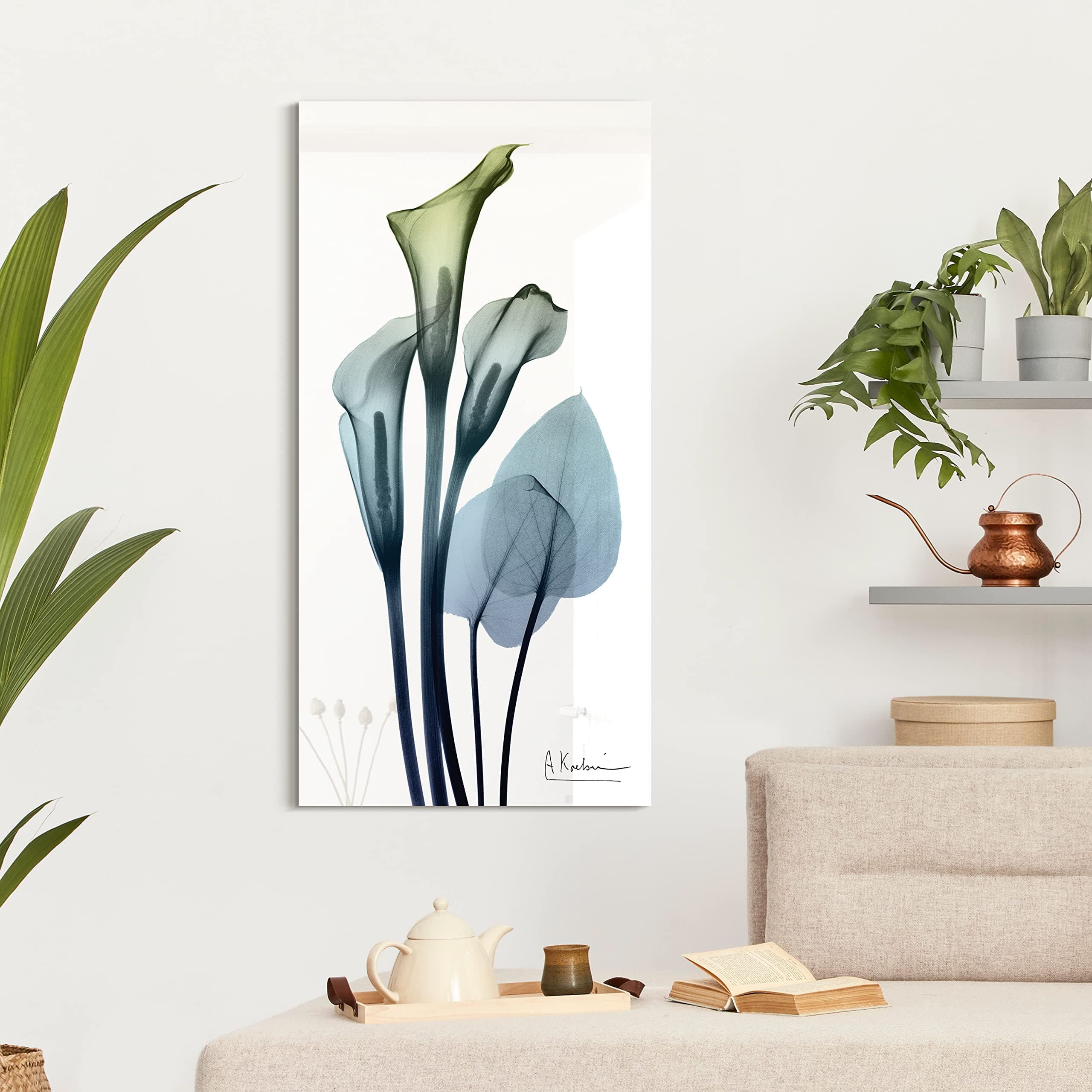 Empire Art Direct Calia Lily Frameless Free Floating Reverse Printed Tempered Glass Wall Art, X-ray Flower Wall Decor, Rectangular, Ready to Hang, Living Room, Bedroom, Kitchen, Gallery, 24" x 48"