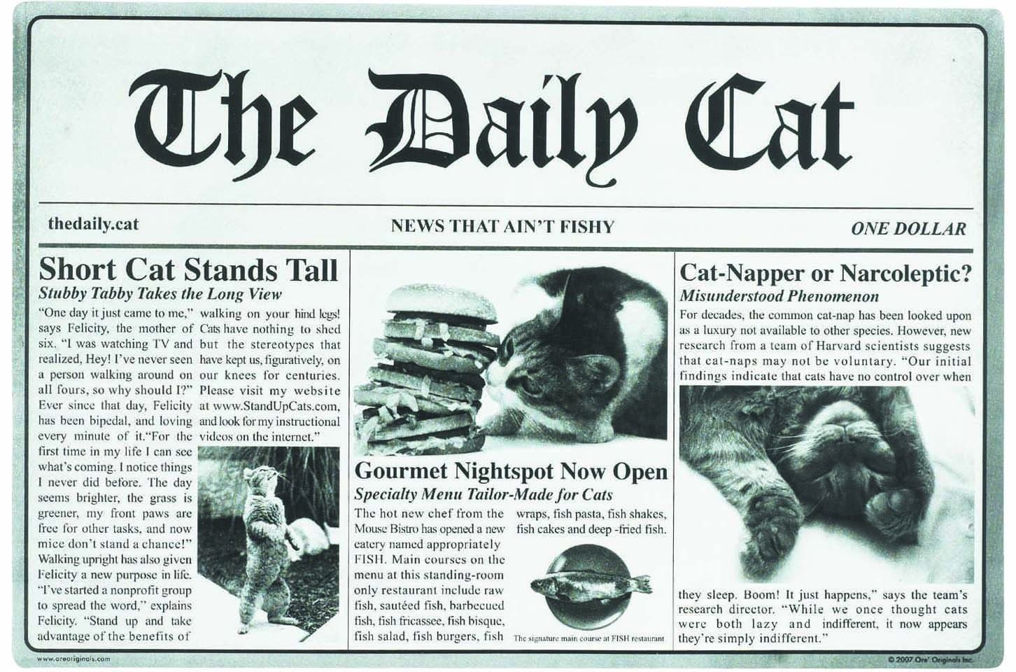 ORE Pet The Daily Cat Placemat