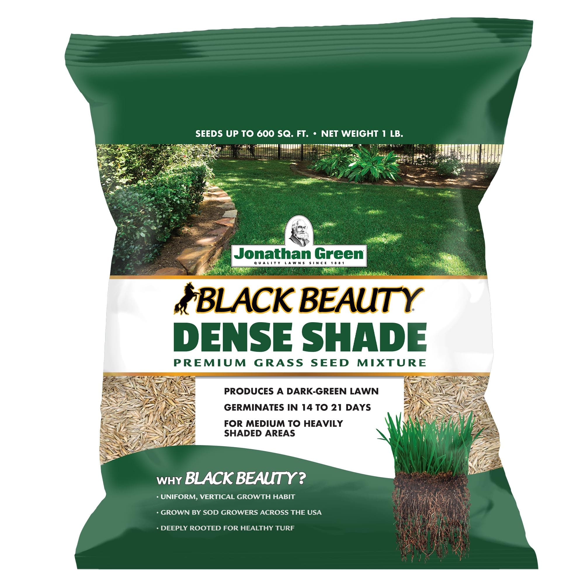 & SONS, INC. - LB Dense Grass Seed