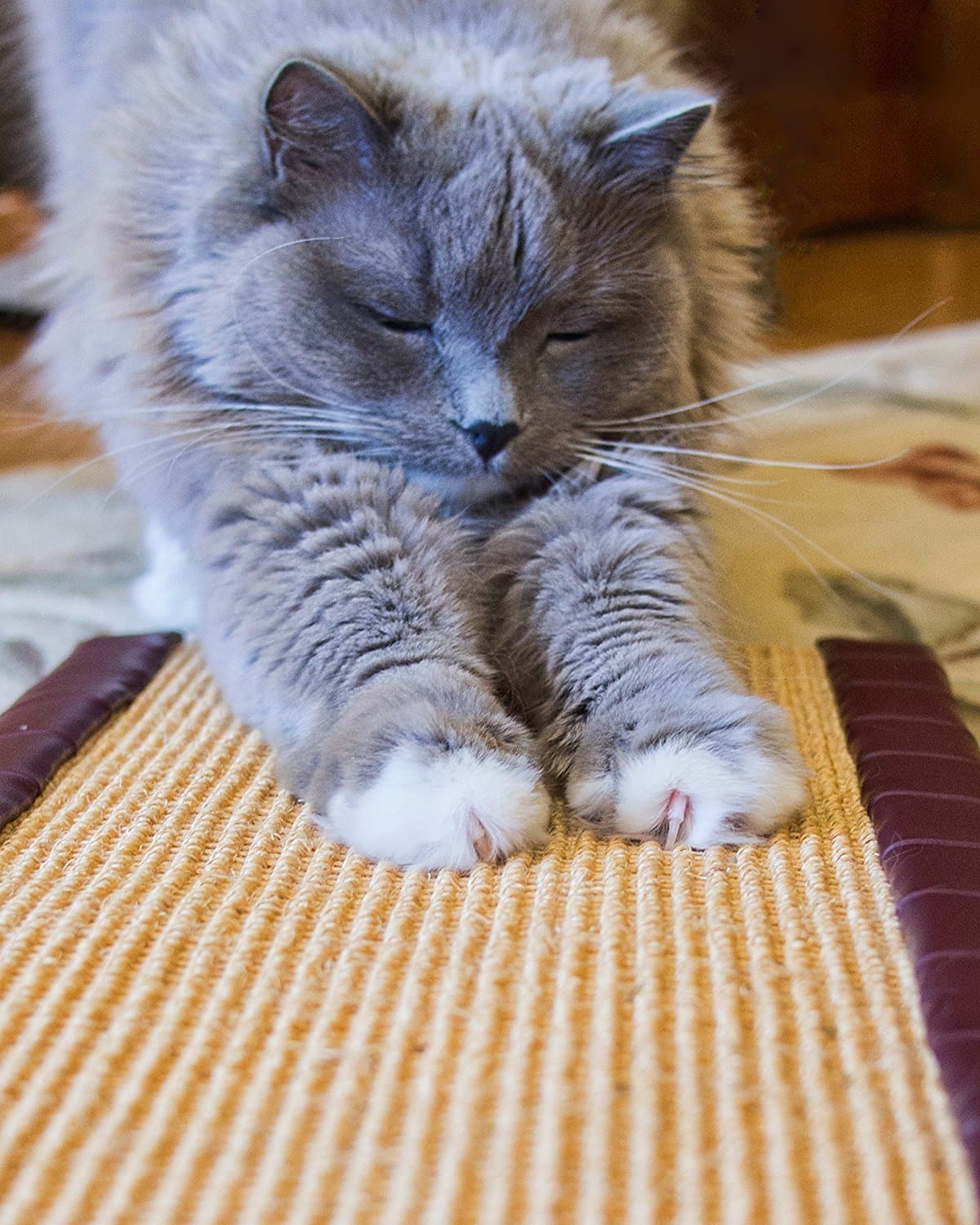 Kitty Treadmill Horizontal Floor Scratcher, Gold