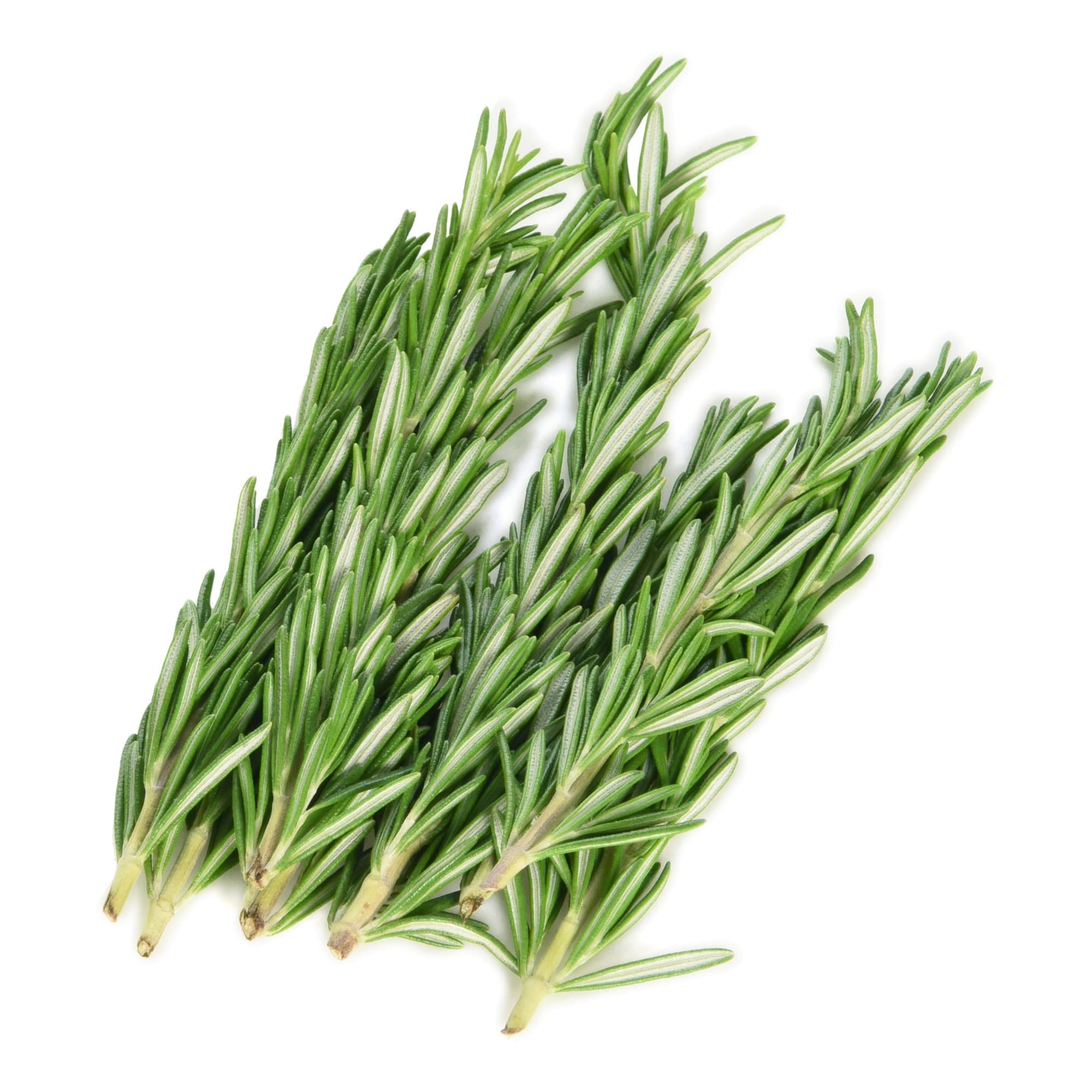 Langmead Herbs Fresh Cut Rosemary, 20g