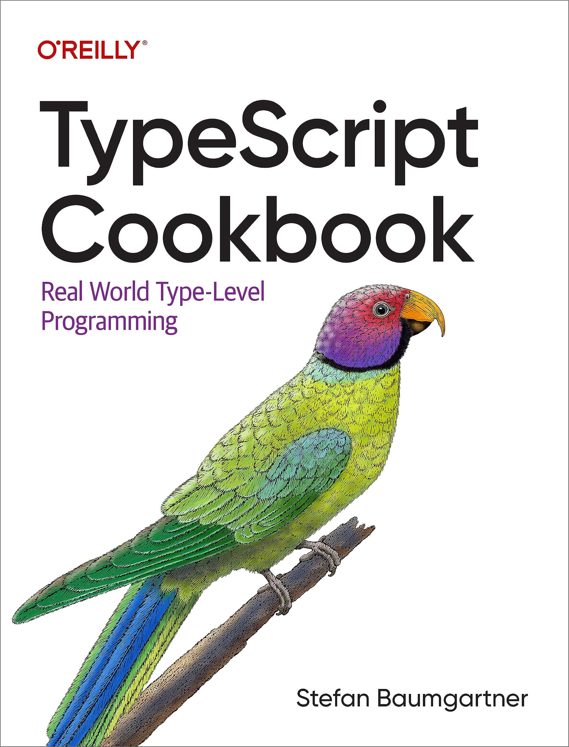 Typescript Cookbook: Real World Type-Level Programming Paperback – Import, 12 September 2023