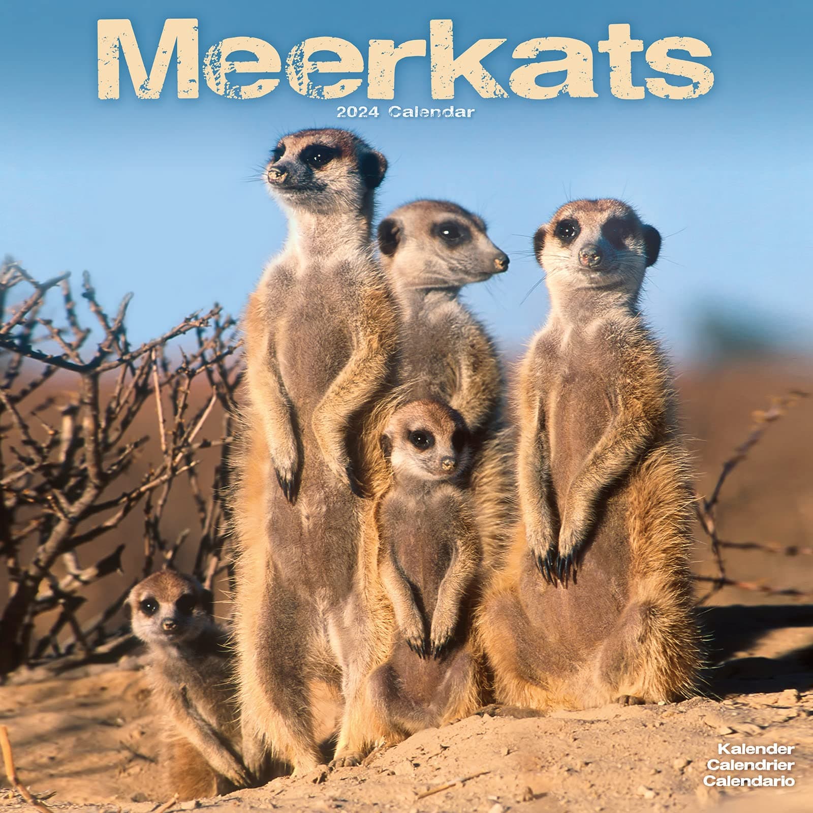 2024 Meerkats Wall Calendar