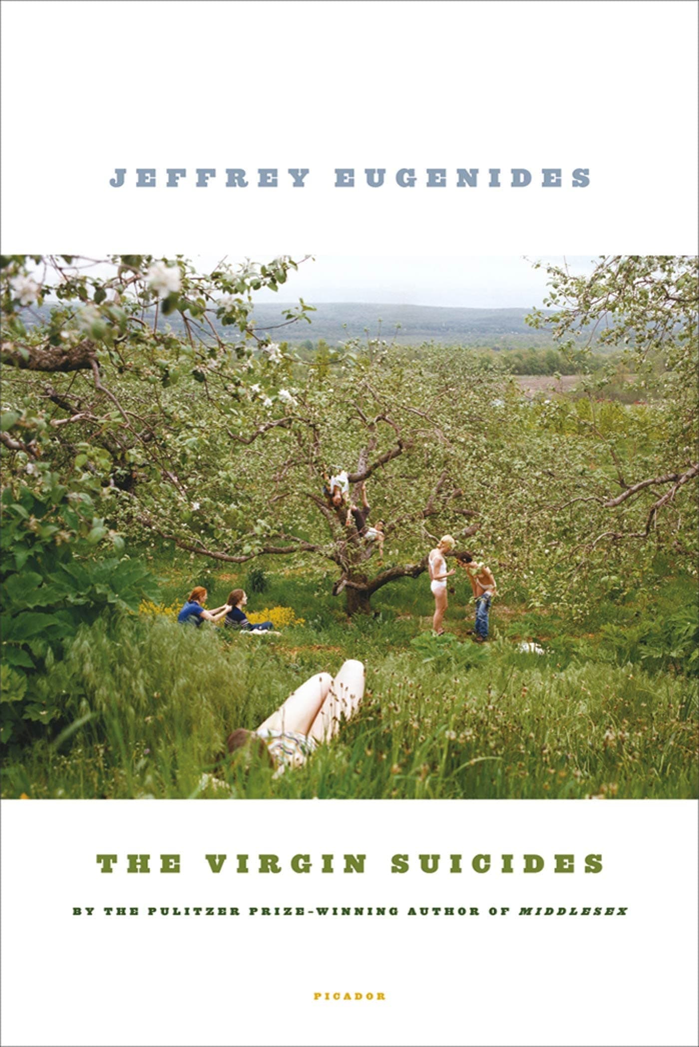 The Virgin Suicides Paperback – April 27, 2009