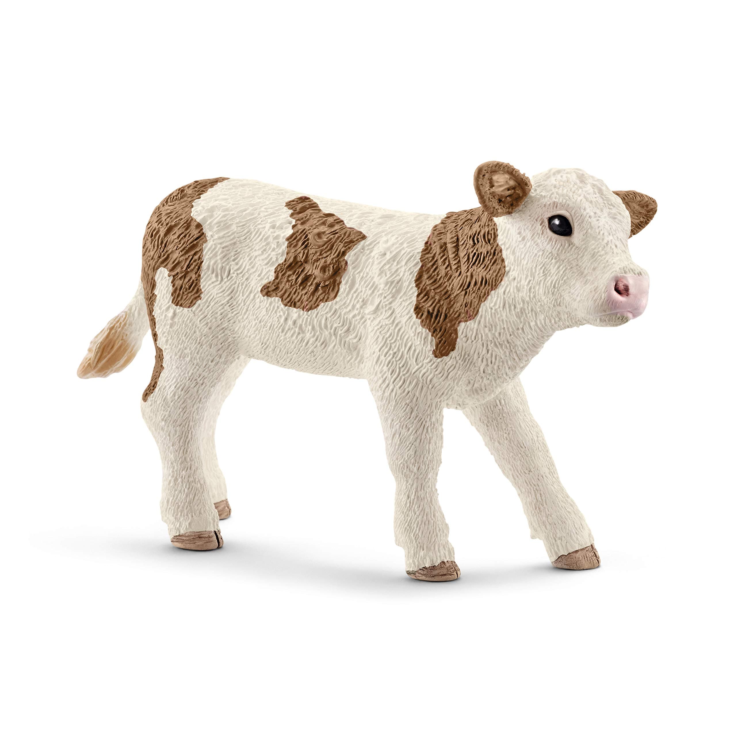 Scheich Simmental Calf|Multi Color|Cow